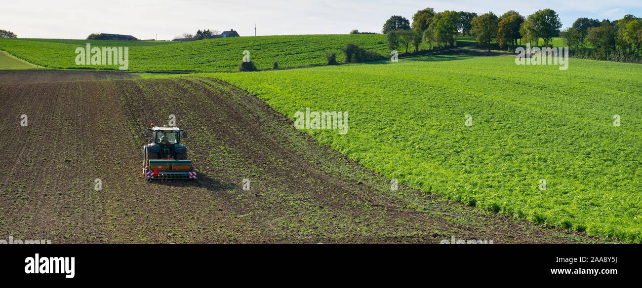 Trattore con erpice sul campo nella bellissima campagna del sud di Limburgo nei Paesi Bassi sulla giornata di sole in autunno Foto Stock