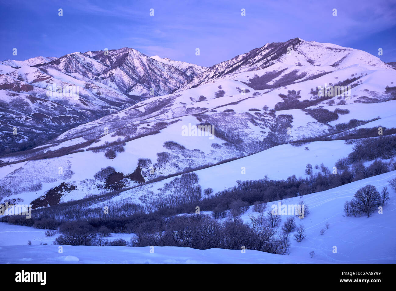 Inverno montagne Wasatch Range, vicino a Salt Lake City, Utah, Stati Uniti d'America Foto Stock