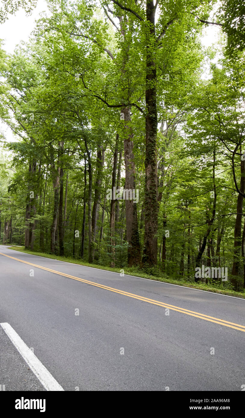 Svuotare parkway us 441 autostrada percorso attraverso il parco nazionale di Great Smoky mountains usa Foto Stock