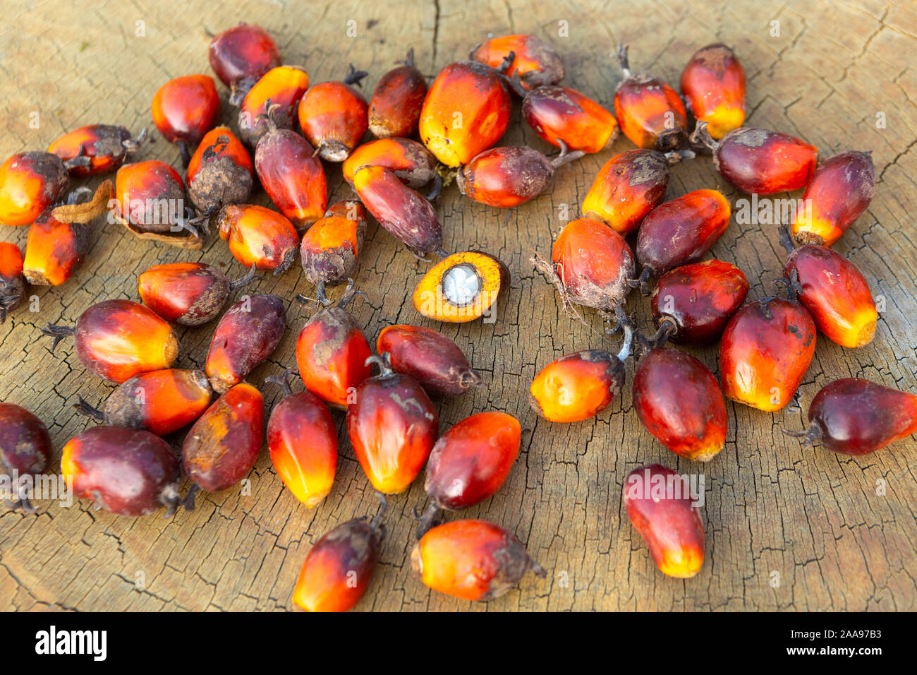 Primo piano di un gruppo di frutti di olio di palma (Elaeis guineensis) e di una metà di frutta mostra interno su un rustico tavolo di legno. Concetto di natura, agricoltura. Foto Stock