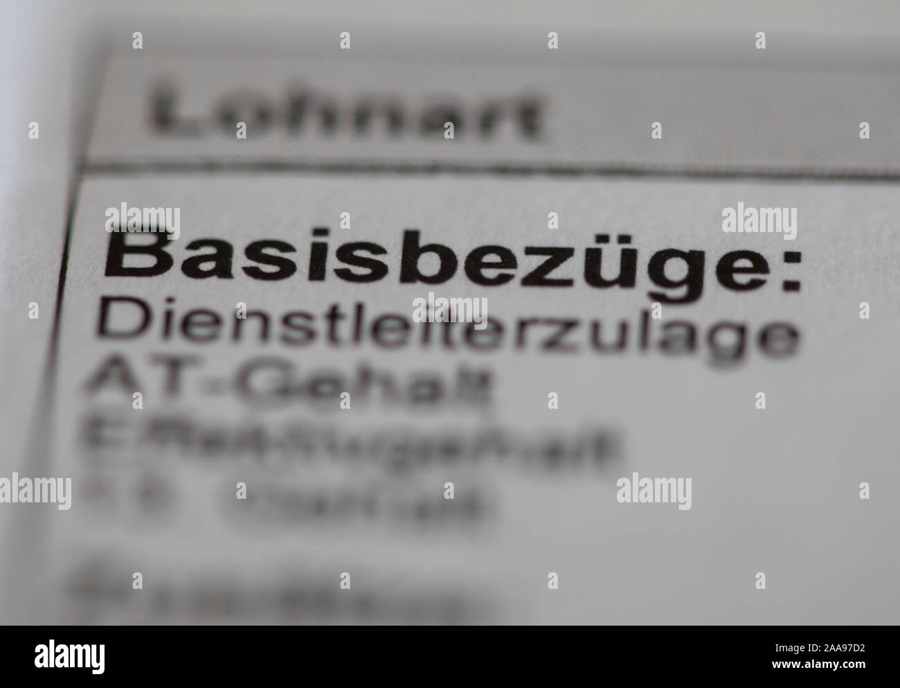 Illustrazione - 14 novembre 2019, Meclemburgo-Pomerania, Schwerin: Illustrazione - la retribuzione di base voce viene visualizzata su un libro paga. Foto: Jens Büttner/dpa-Zentralbild/ZB Foto Stock