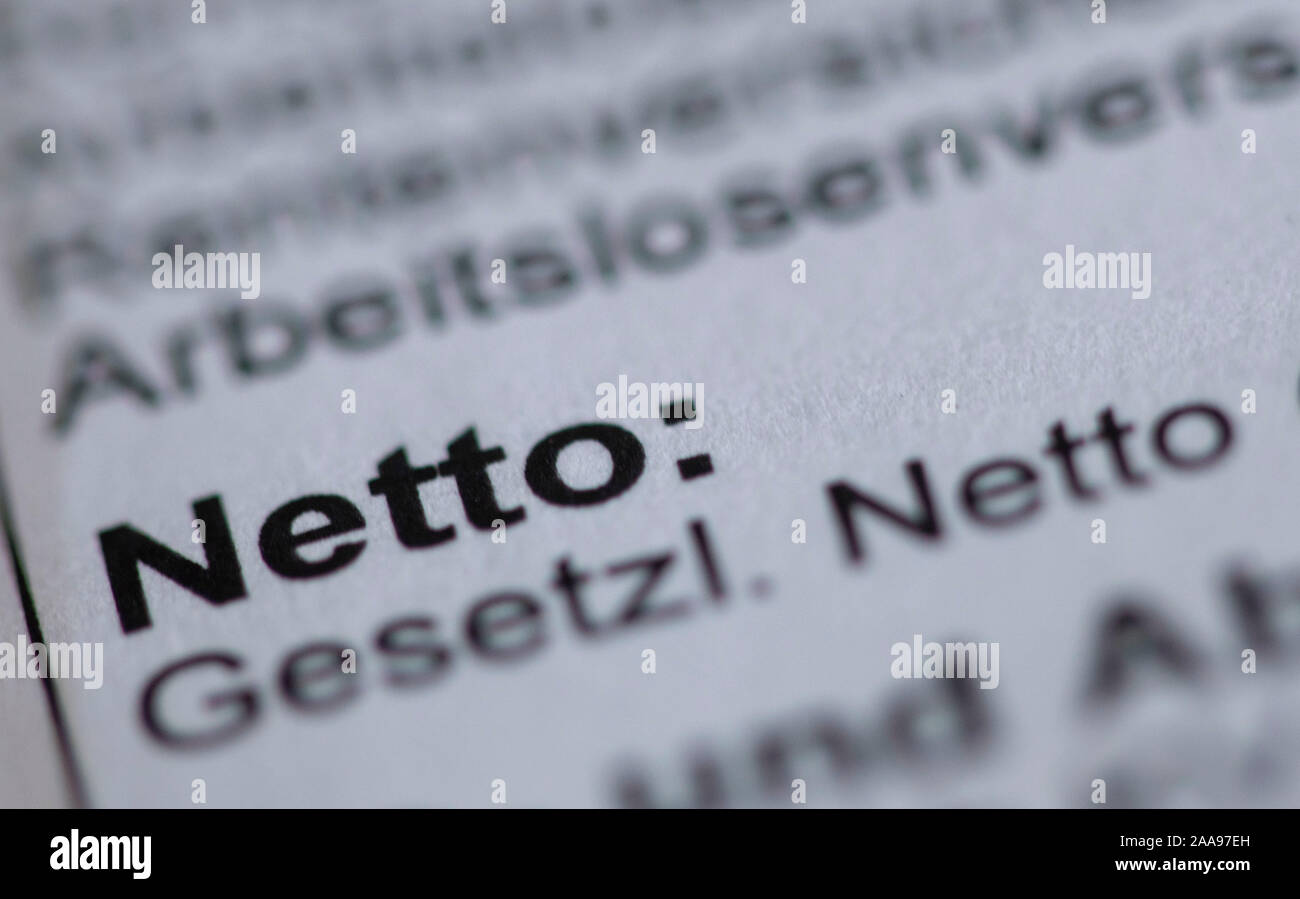 Illustrazione - 14 novembre 2019, Meclemburgo-Pomerania, Schwerin: Illustrazione - La voce Net è quello di essere visto su un libro paga l'esecuzione. Foto: Jens Büttner/dpa-Zentralbild/ZB Foto Stock