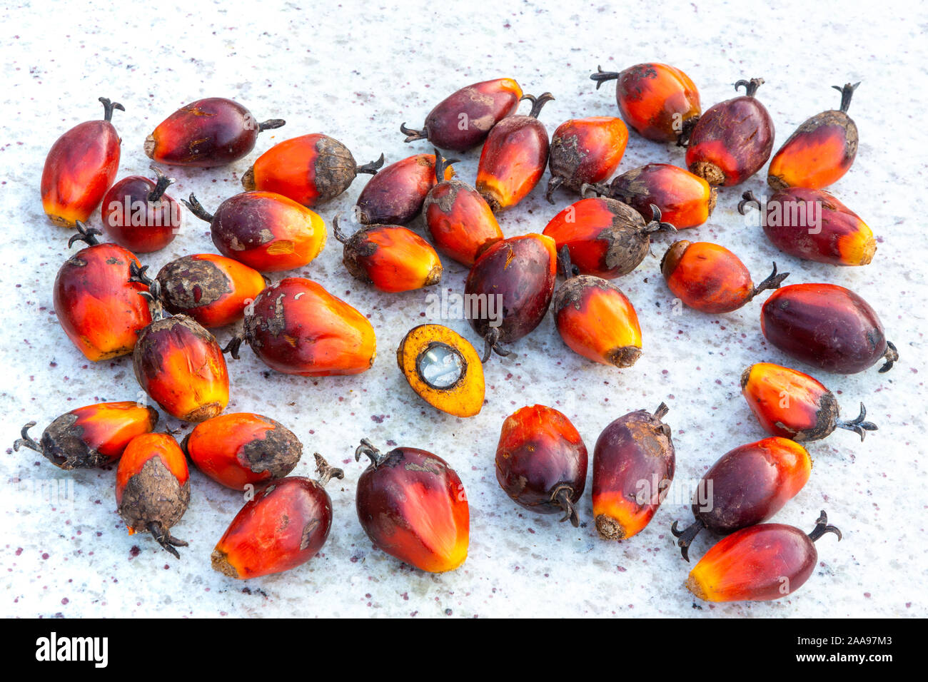 Primo piano del gruppo di frutti di palma (Elaeis guineensis) con una metà di frutta mostra interno utilizzato per fare olio vegetale su un tavolo di marmo rustico. Ecologia. Foto Stock