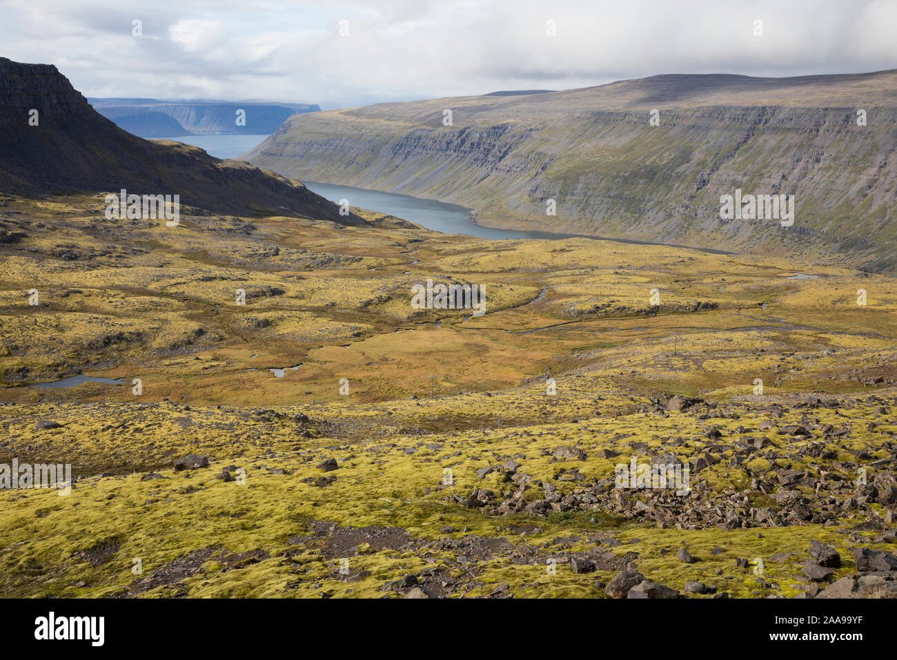Westfjorde, Vestfirðir, Fiordo, Fjordlandschaft, Fjorde, Westfjords, a ovest di fiordi, fiordi, Isola, Islanda Foto Stock
