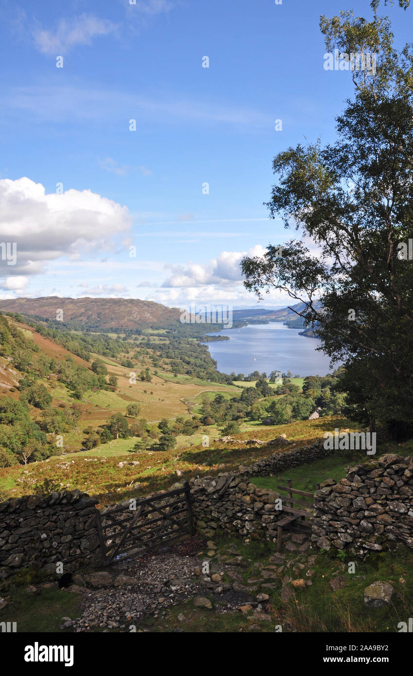 Ullswater dal legno Glencoyne, Cumbria Foto Stock