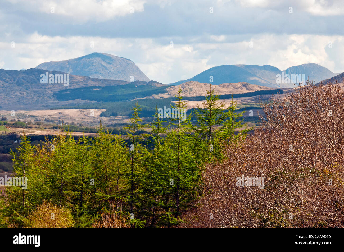 Le montagne della penisola di Iveragh, nella contea di Kerry, Irlanda Foto Stock
