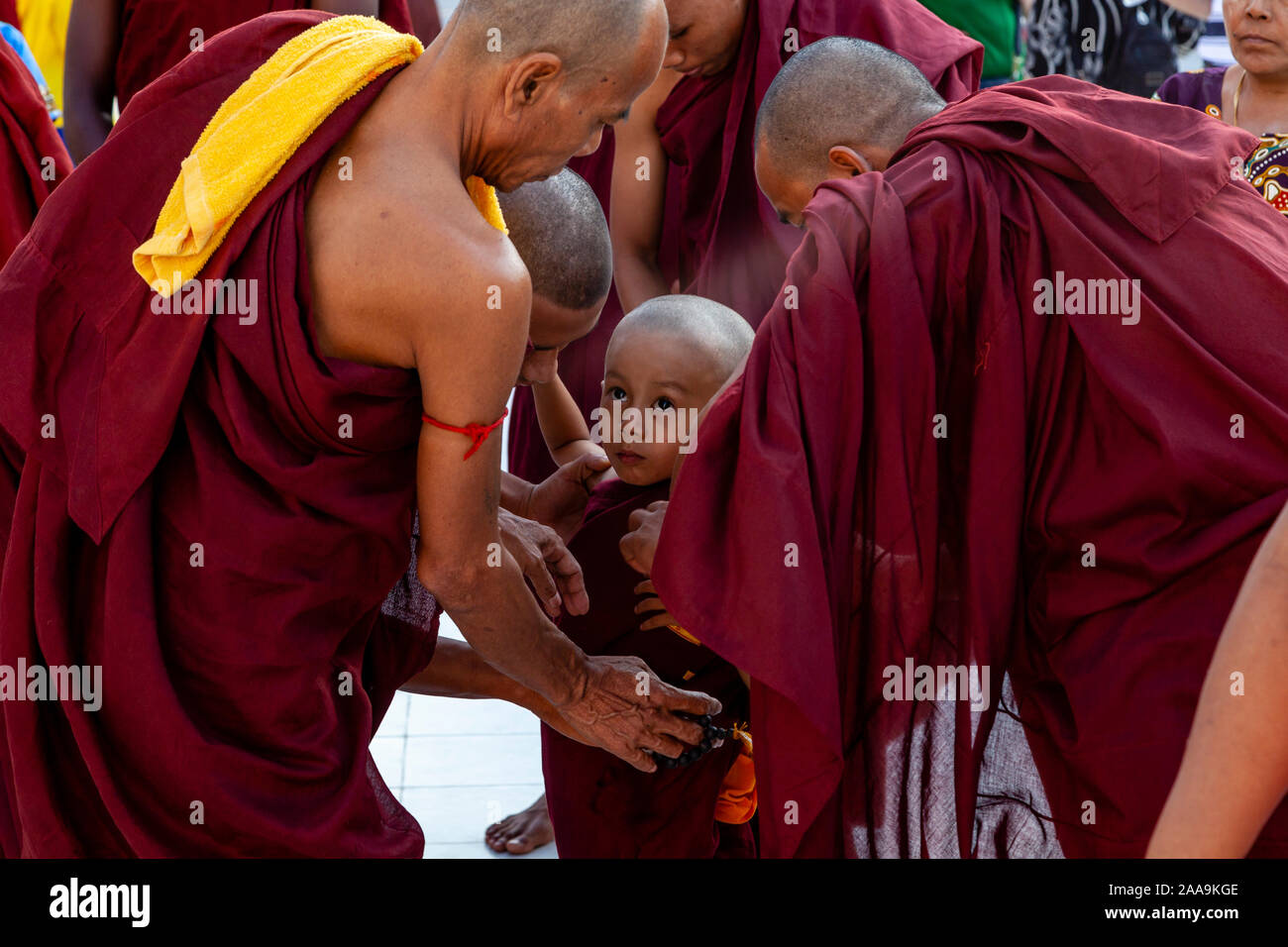 Monaci Senior Help Vestire un monaco novizio presso la Shwedagon pagoda Yangon, Myanmar. Foto Stock