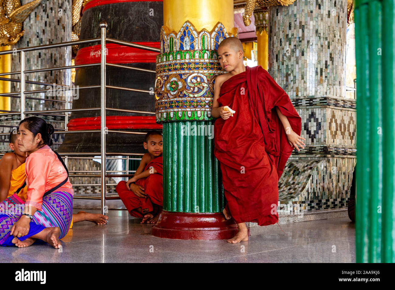 Il debuttante monaci alla Shwedagon pagoda Yangon, Myanmar. Foto Stock