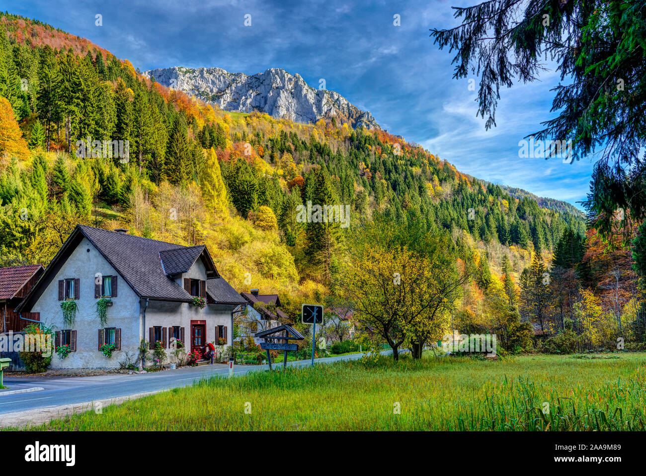Caduta delle Foglie colore nelle Alpi Kamnik a Solcava, Slovenia, l'Europa. Foto Stock