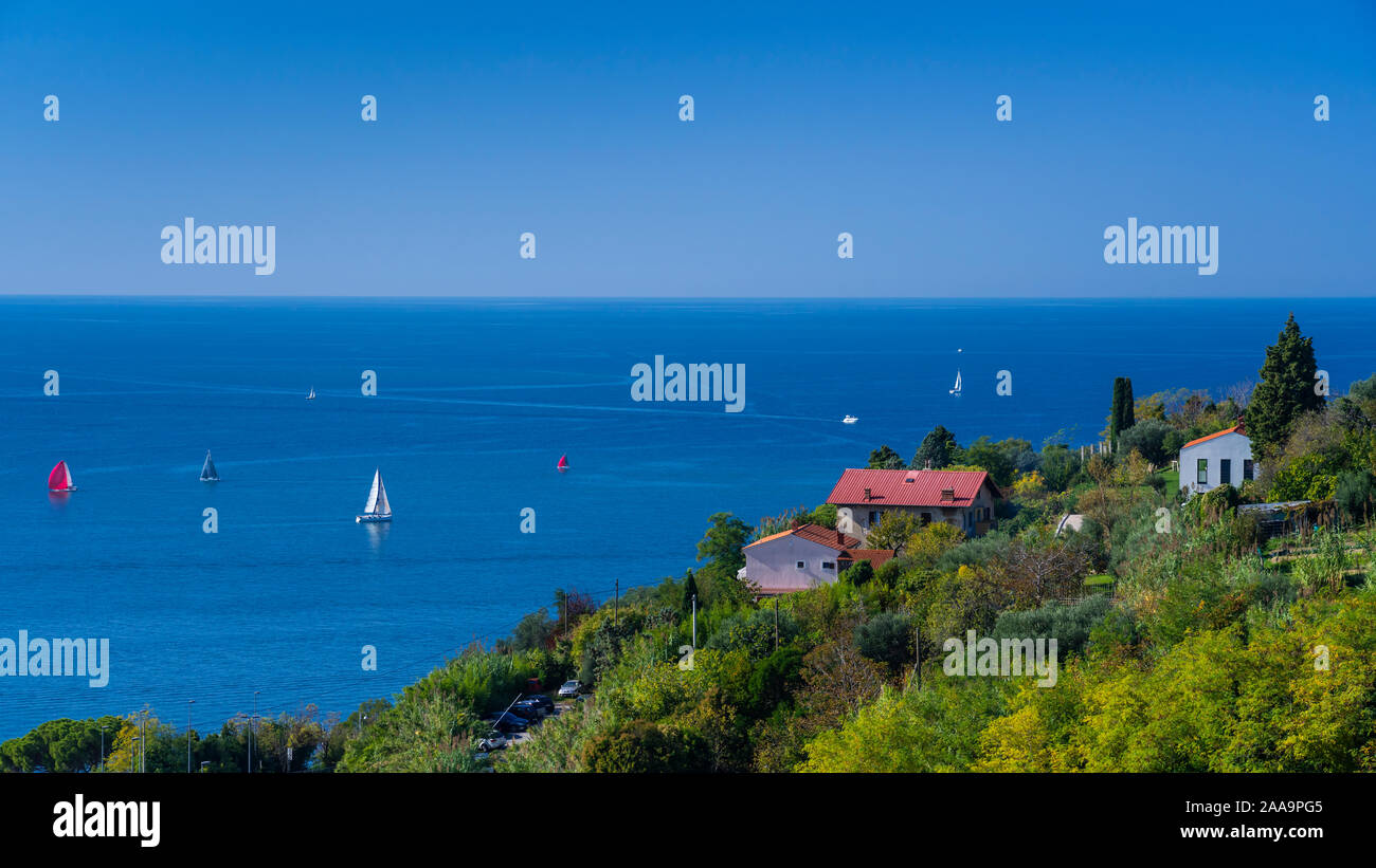 Hillside e vista sul Mar Adriatico di pirano, la Slovenia, l'Europa. Foto Stock