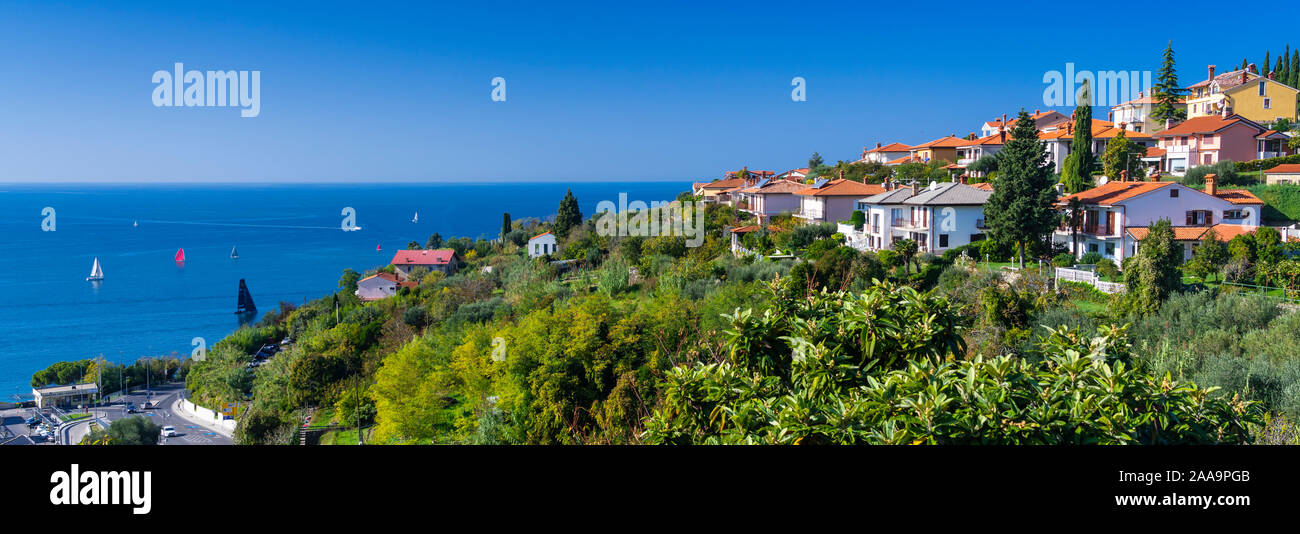 Hillside e vista sul Mar Adriatico di pirano, la Slovenia, l'Europa. Foto Stock