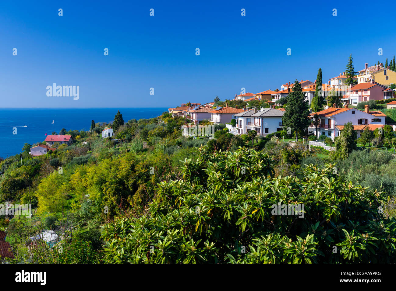Hillside e vista sul Mar Adriatico di pirano, la Slovenia, l'Europa. Foto Stock