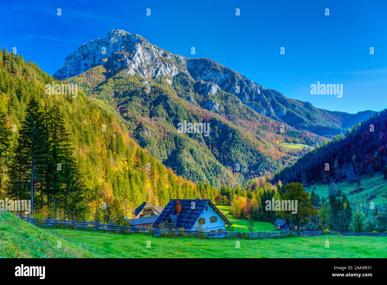 Un panorama alpino in Rabanov Kot con la caduta delle foglie colore nella valle di Logar, Slovenia, l'Europa. Foto Stock