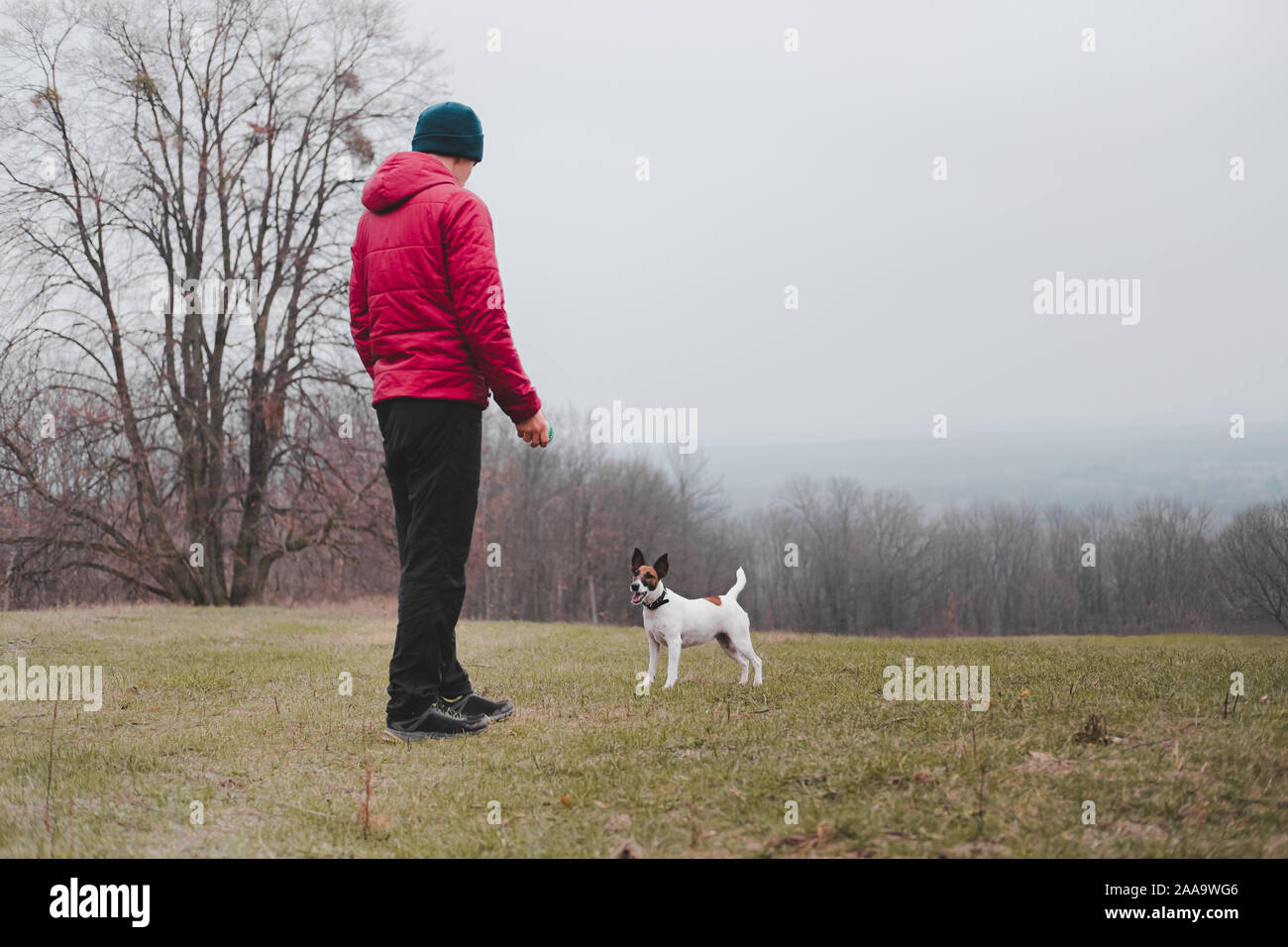 L'uomo gioca con un fox terrier cane sulle colline in autunno. Giocoso cucciolo sano e proprietario di cattura a giocare una palla di gioco all'aperto Foto Stock