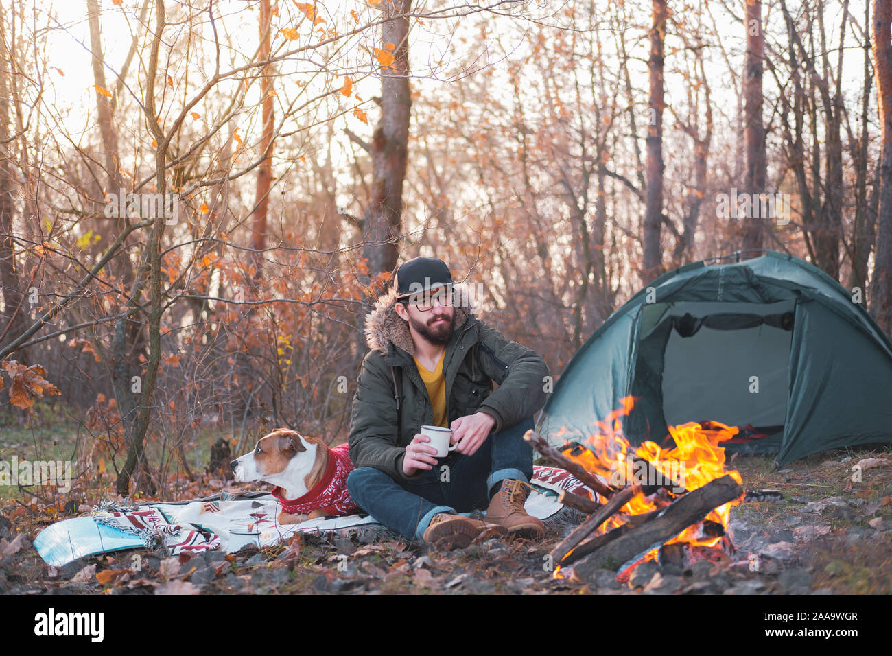 Uomo Barbuto gode di compagnia del suo cane all'aperto presso un posto di campeggio nel tardo autunno. Trascorrere il tempo libero da soli con un pet: considerato persona di sesso maschile si siede Foto Stock