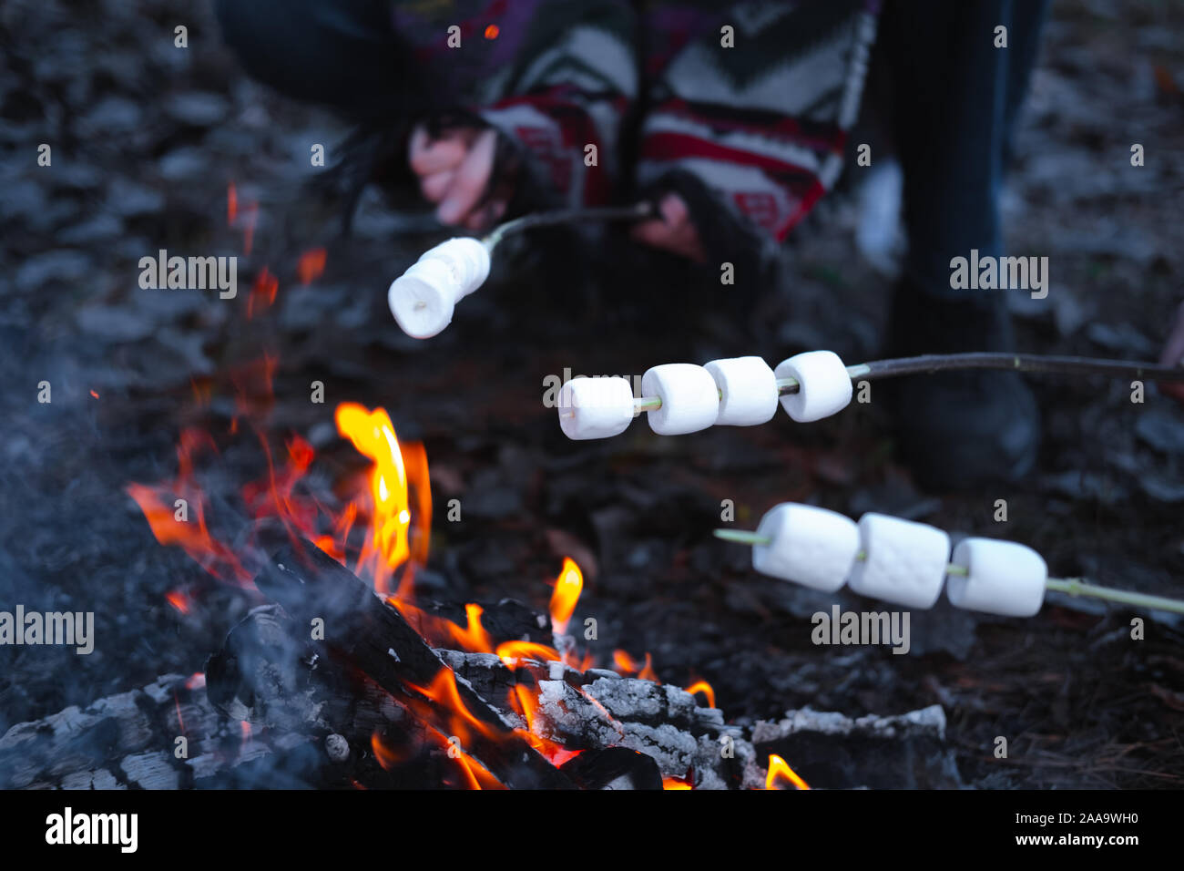 La tostatura marshmallows dai falò. Vista superiore della zephyr pezzi su bastoni sopra il falò Foto Stock