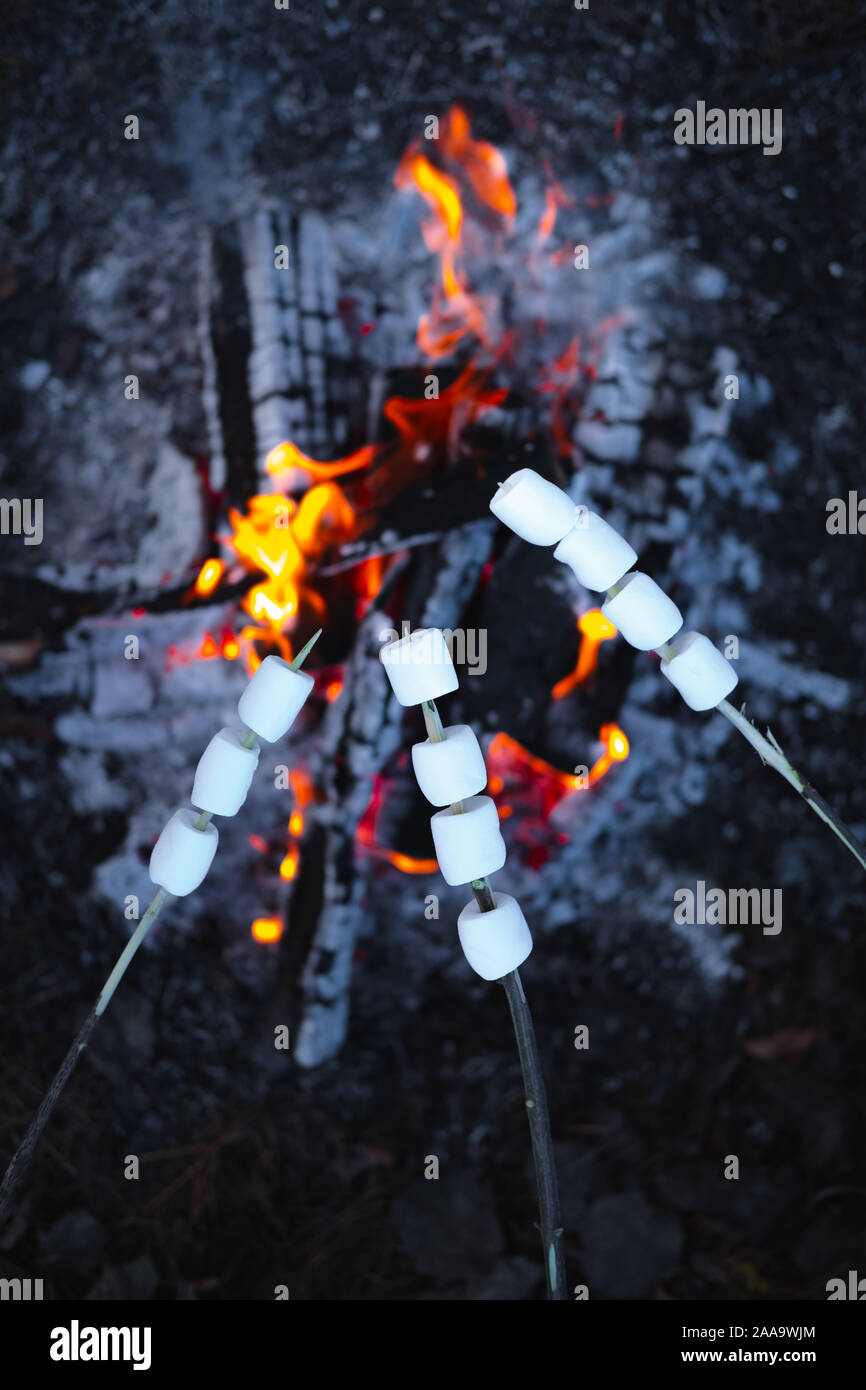 La tostatura marshmallows dai falò. Vista superiore della zephyr pezzi su bastoni sopra il falò Foto Stock