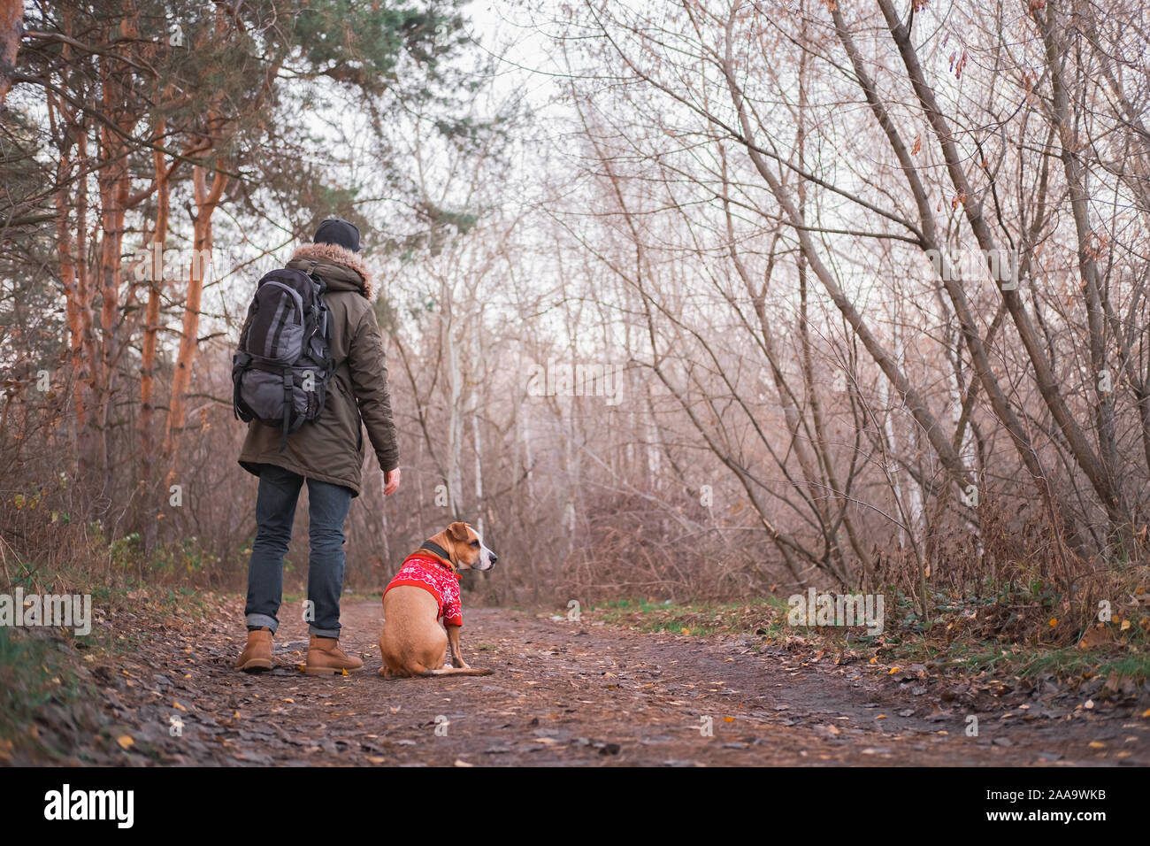 Il riposo attivo all'aperto: persona di sesso maschile con il suo cane escursioni nella foresta. Allontanarsi dalla città e dal concetto di tecnologia: l uomo e il suo gatto godetevi il sile Foto Stock