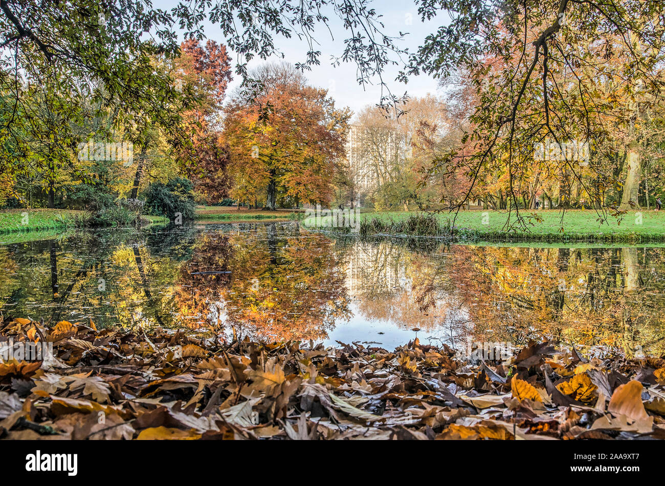 Scena di Autunno nel parco, Rotterdam, Paesi Bassi, con alberi colorati, caduta foglie e un stagno riflettente Foto Stock