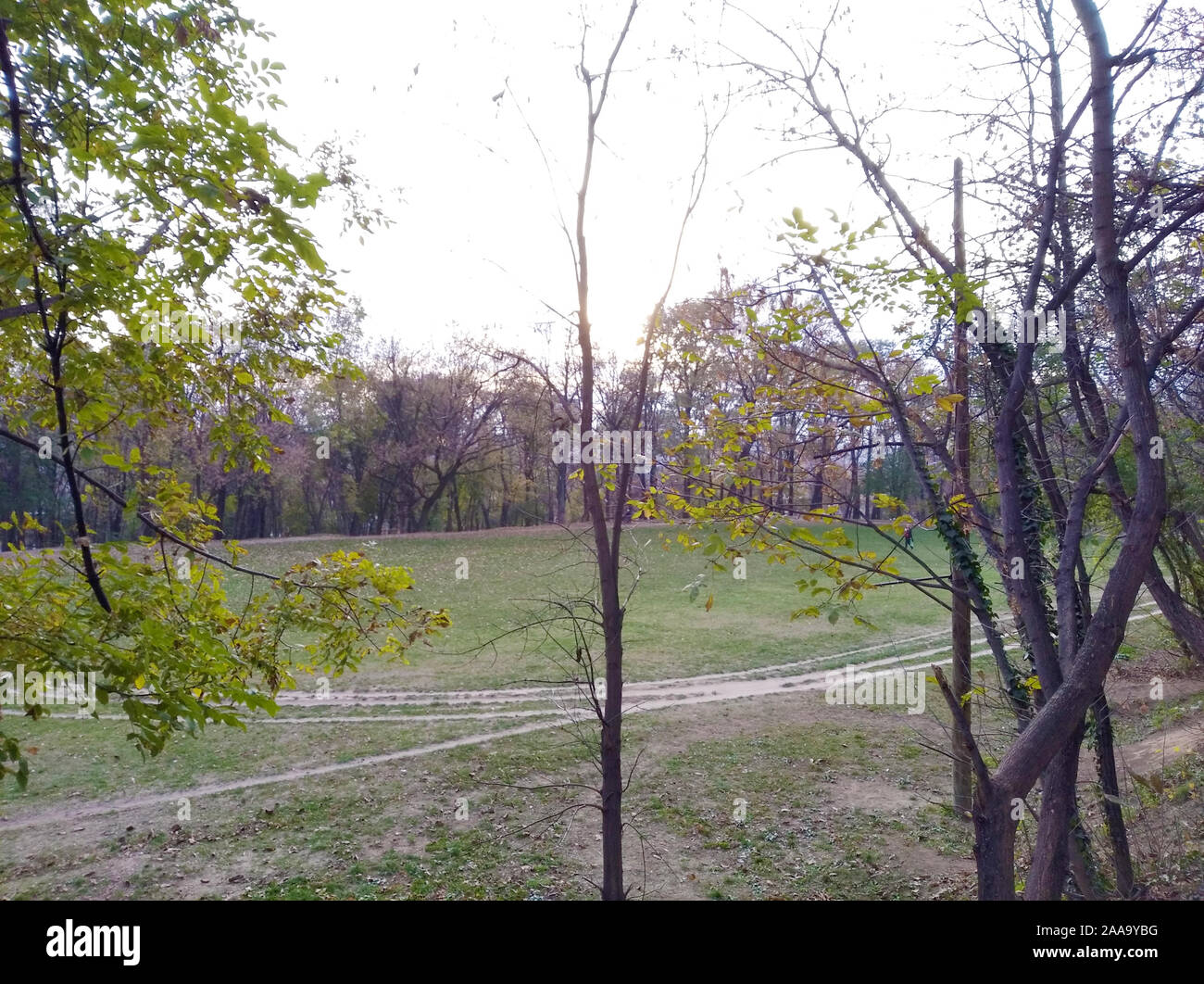 Sumice - Piccola Foresta - Konjarnik, Vozdovac, Belgrado, Serbia - campo di erba circondato da alberi, al centro del parco Foto Stock