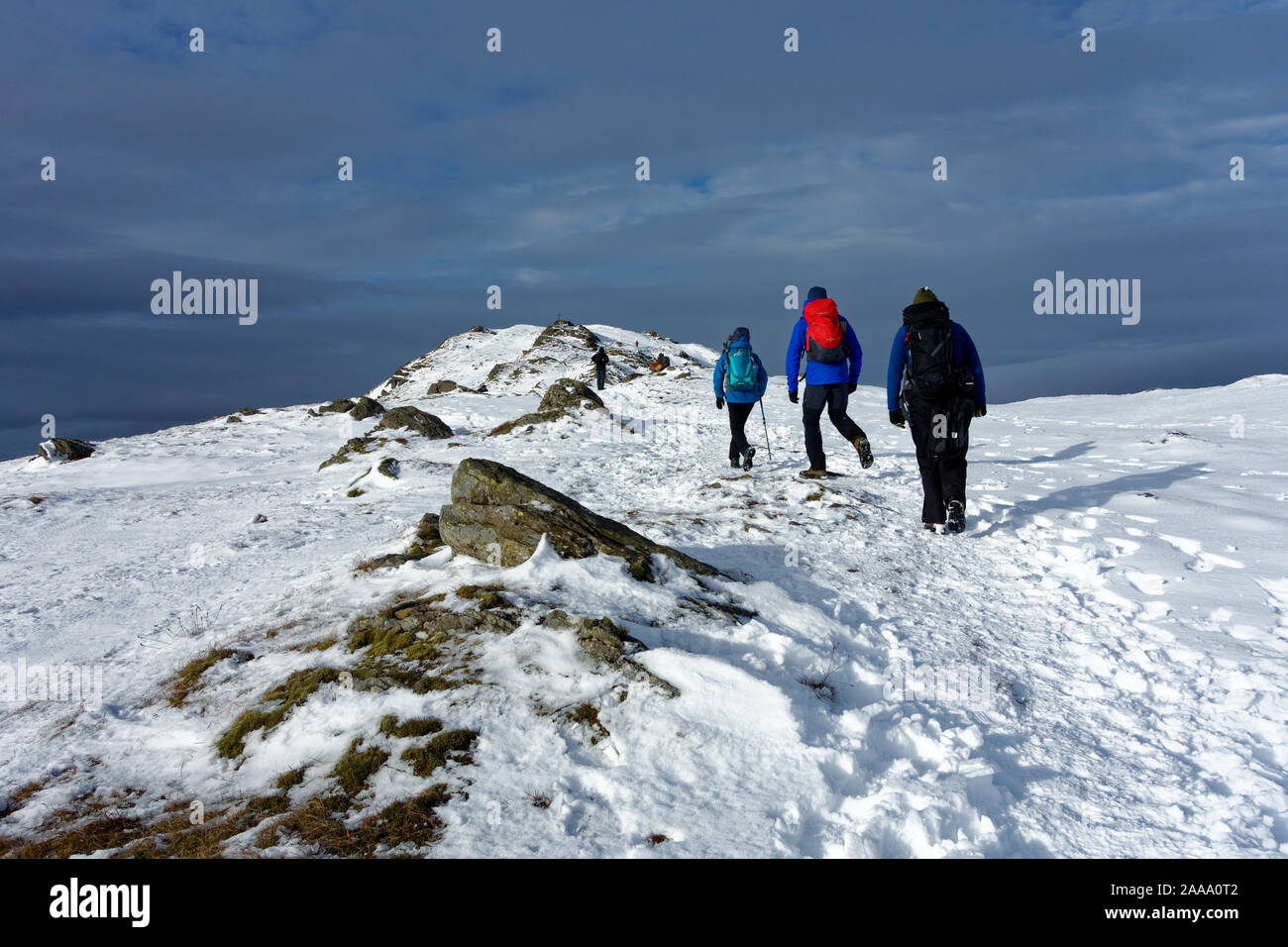 Hillwalkers vicino al vertice di Ben Ledi, vicino a Callander, Stirlingshire, Scozia Foto Stock