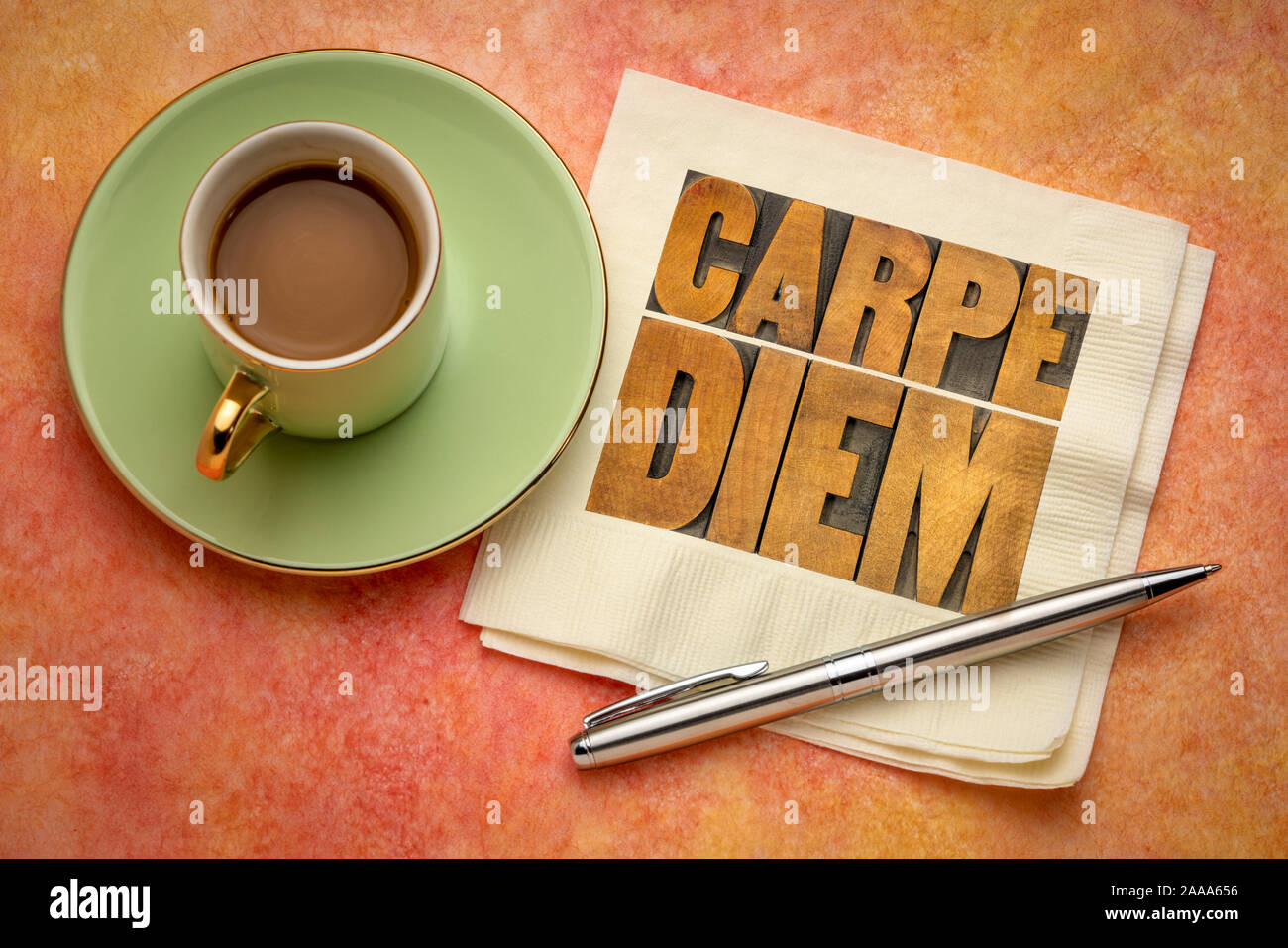 Carpe Diem - godere la vita prima che sia troppo tardi ed esistenziali cautionary frase latina da Orazio - testo in rilievografia vintage tipo legno blocchi di stampa Foto Stock