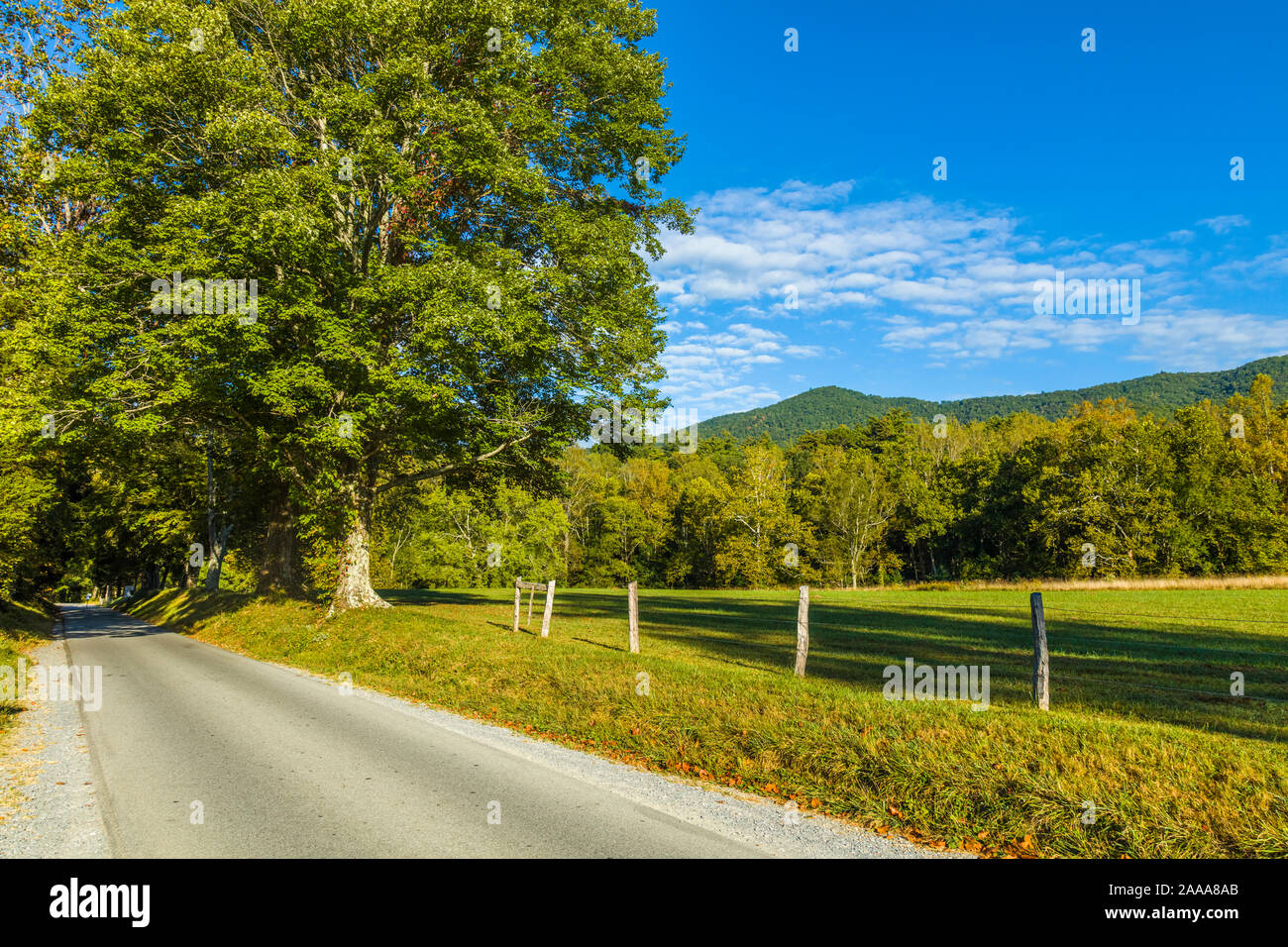 Strada sebbene Cades Cove nel Parco Nazionale di Great Smoky Mountains nel Tennessee negli Stati Uniti Foto Stock