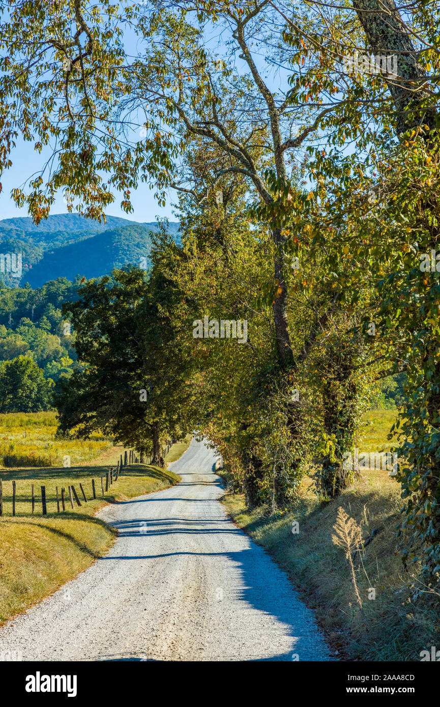 Hyatt Lane, Hyatt Road sebbene Cades Cove nel Parco Nazionale di Great Smoky Mountains nel Tennessee negli Stati Uniti Foto Stock