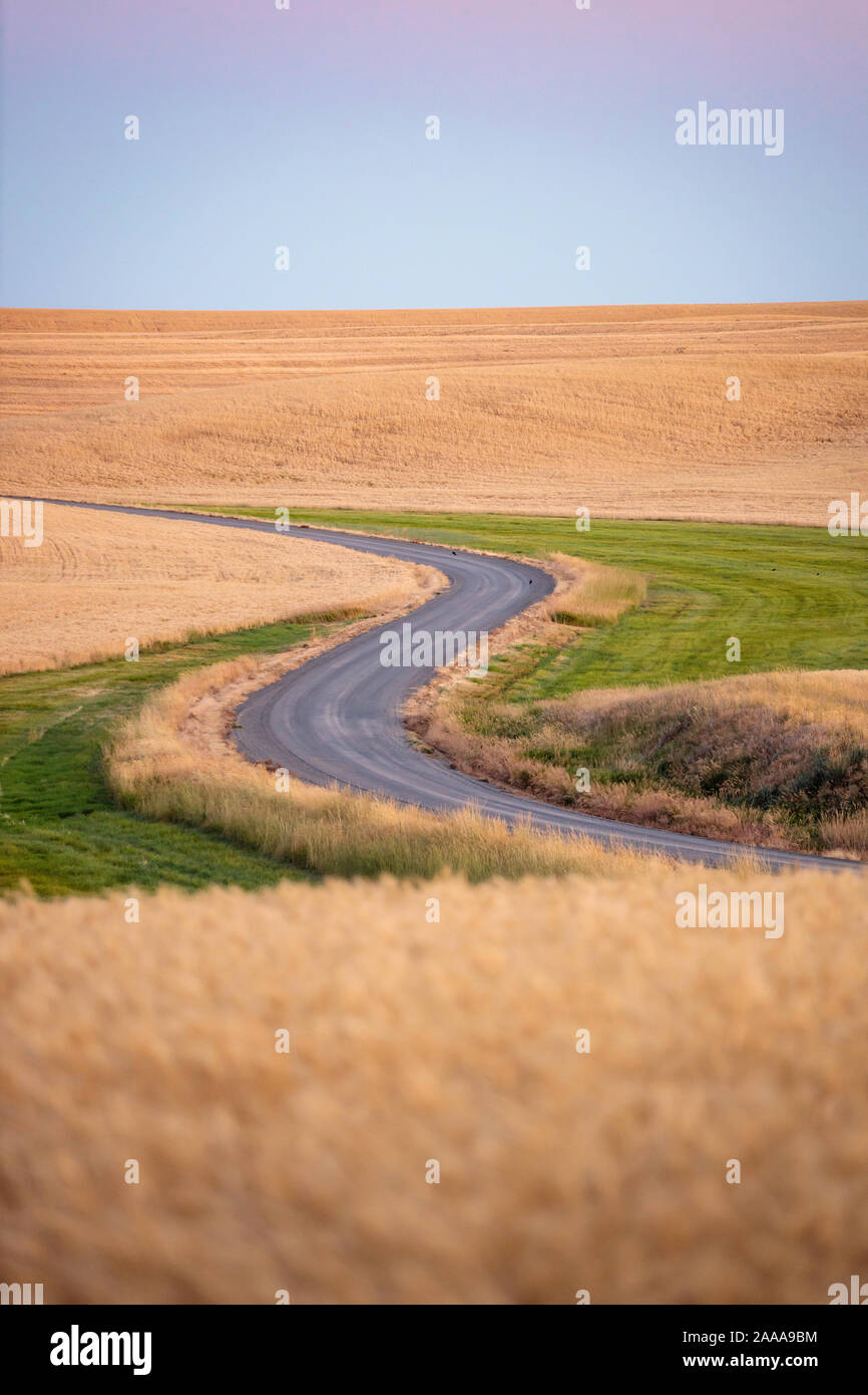 S-curve country road Foto Stock