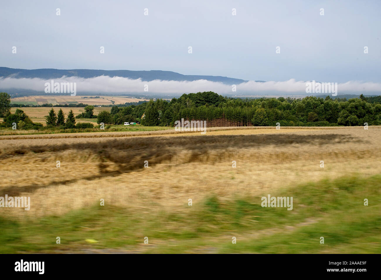 Paesaggio di montagna con nuvole sotto i picchi e un campo di coltivazione in primo piano Foto Stock