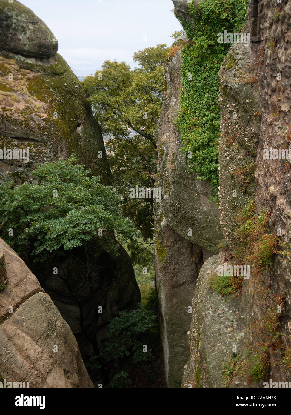 In prossimità di piante e alberi che crescono su o vicino alla grande pietra arenaria e conglomerato affioramenti di Meteora in Grecia. Foto Stock