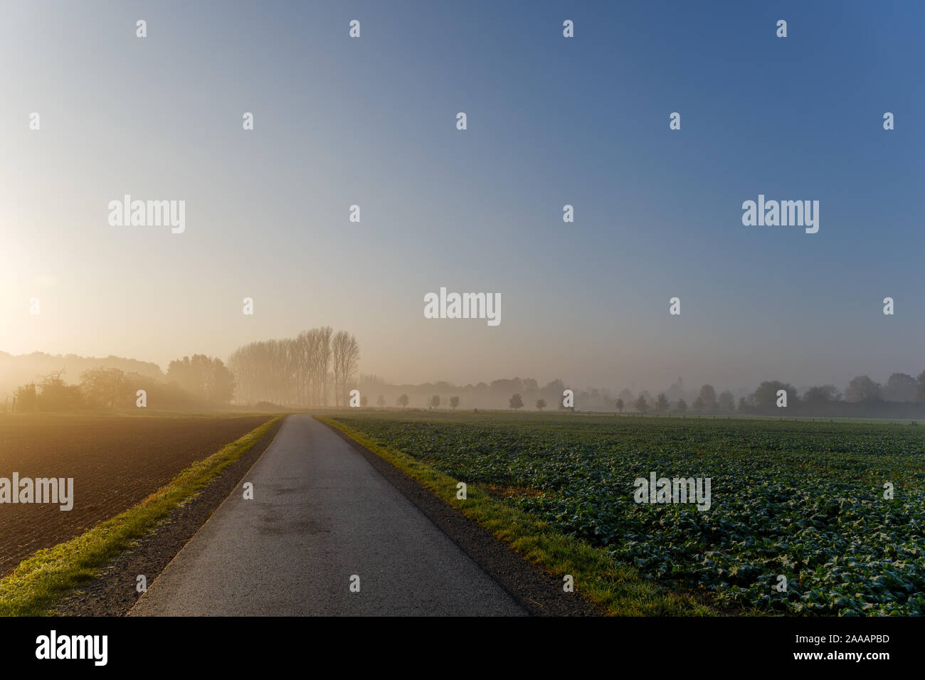 Silhouette tranquillo misty e nebbioso scenario di vuoto sulla strada agricola e campo naturale nella zona di campagna in mattinata con golden sunrise. Foto Stock