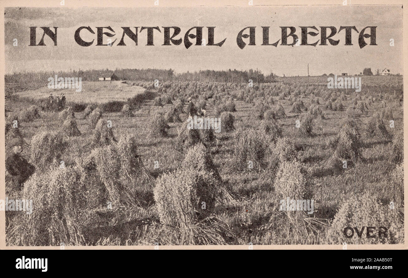 Central Alberta Development League Advertising, Alberta Canada, vecchia cartolina Foto Stock