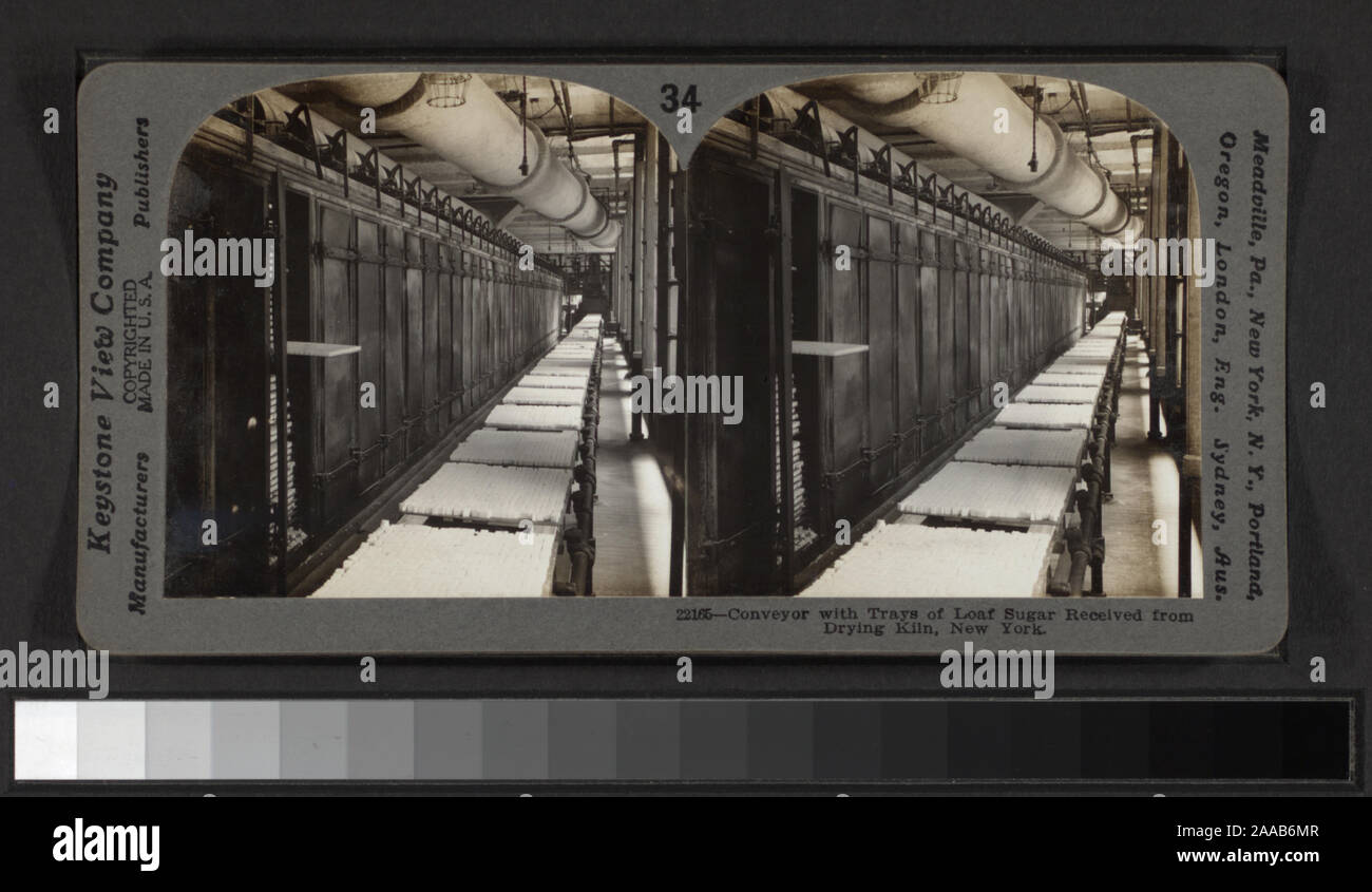 Include le vedute di B. W. Kilburn, O. C. Smith, Pendleton e altri fotografi ed editori. Robert Dennis raccolta di vista stereoscopica. Alcune viste hanno tax timbri apposti. Titolo ideato da cataloger. Viste in Brooklyn: Fulton Street; una vista di elevata ferrovie; chiese: congregazionale (dott. Cuyler's), St. Ann's, Plymouth (Henry Ward Beecher's), una vista che mostra l'organo, Talmages Tabernacolo di Brooklyn, prima unitaria, la Chiesa di Cristo, Episcopale Metodista, compreso vista interna, Clinton San congregazionale, San Pietro, chiesa grazia, sud della Congregazione, la Chiesa di Cristo in Red Hook; Bee Foto Stock