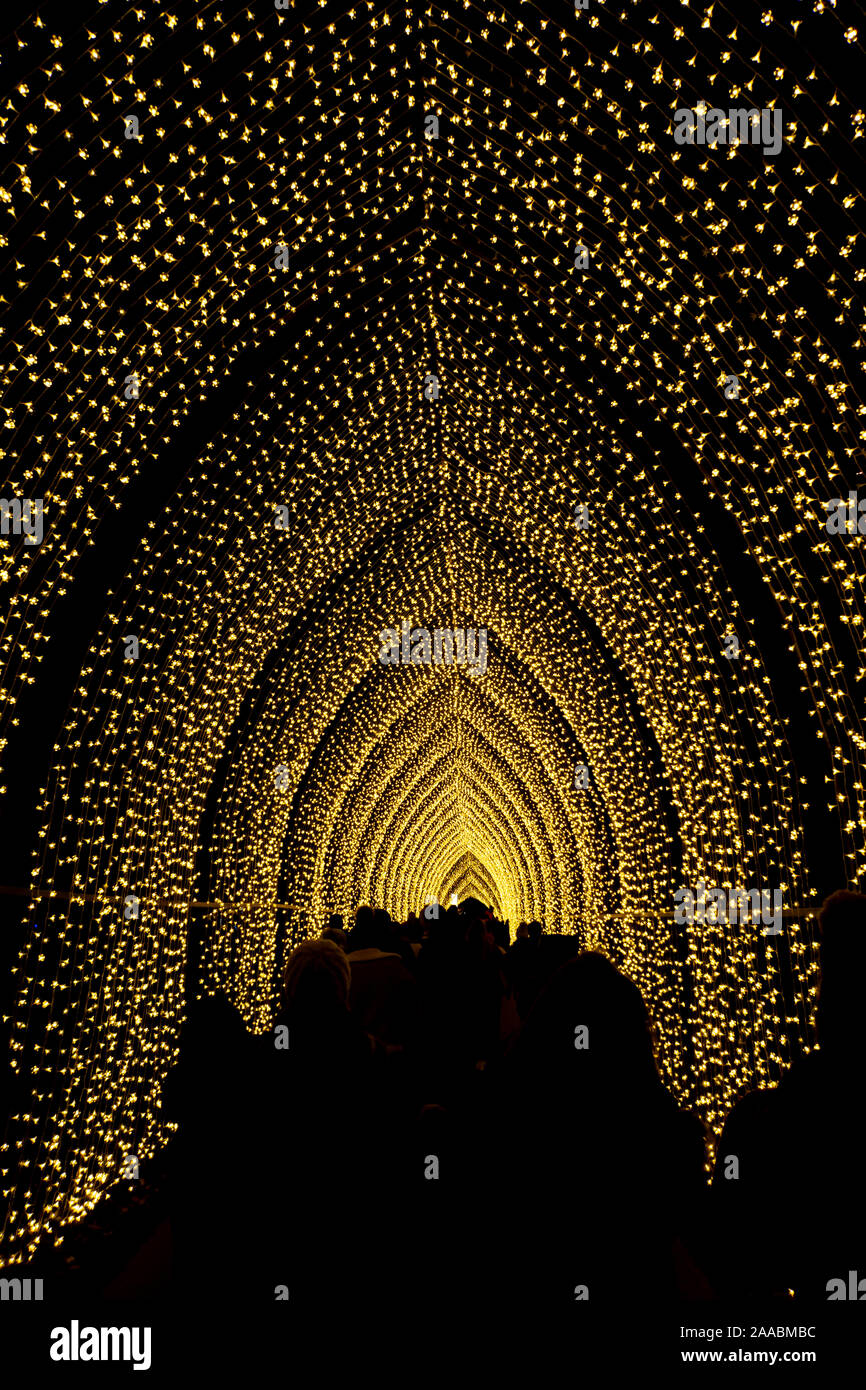 LONDON, England, Regno Unito - 04 gennaio 2019: le luci di Natale visualizzare in notturna a Kew Royal Botanic Gardens, London, Regno Unito Foto Stock