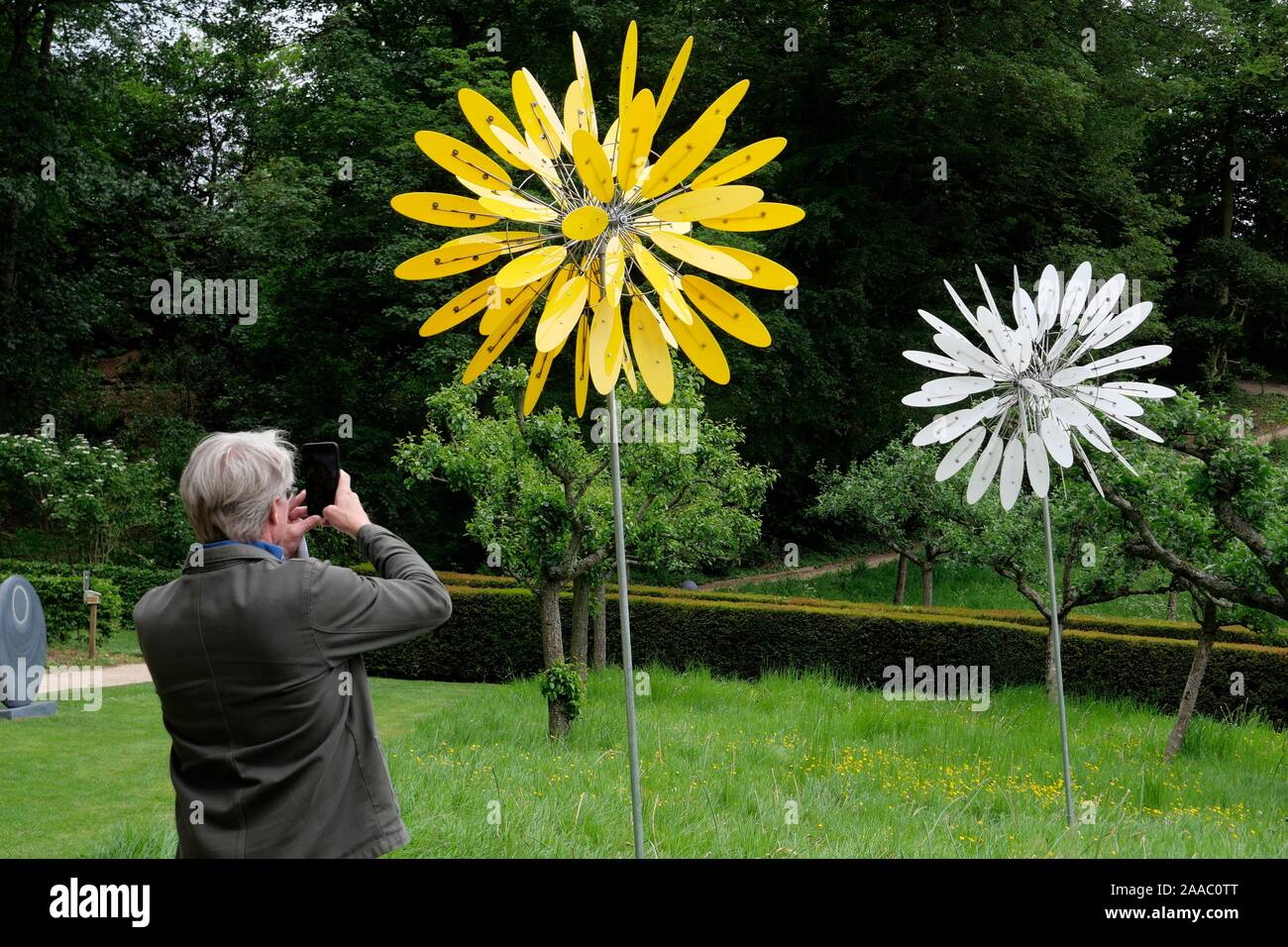 Windflowers da Mike Chaikin. Foto Stock