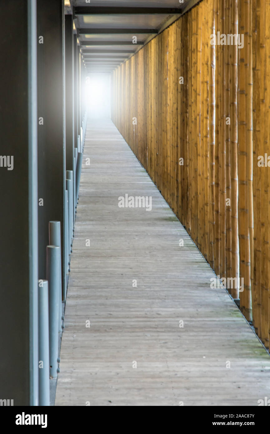 La luce alla fine del tunnel Foto Stock