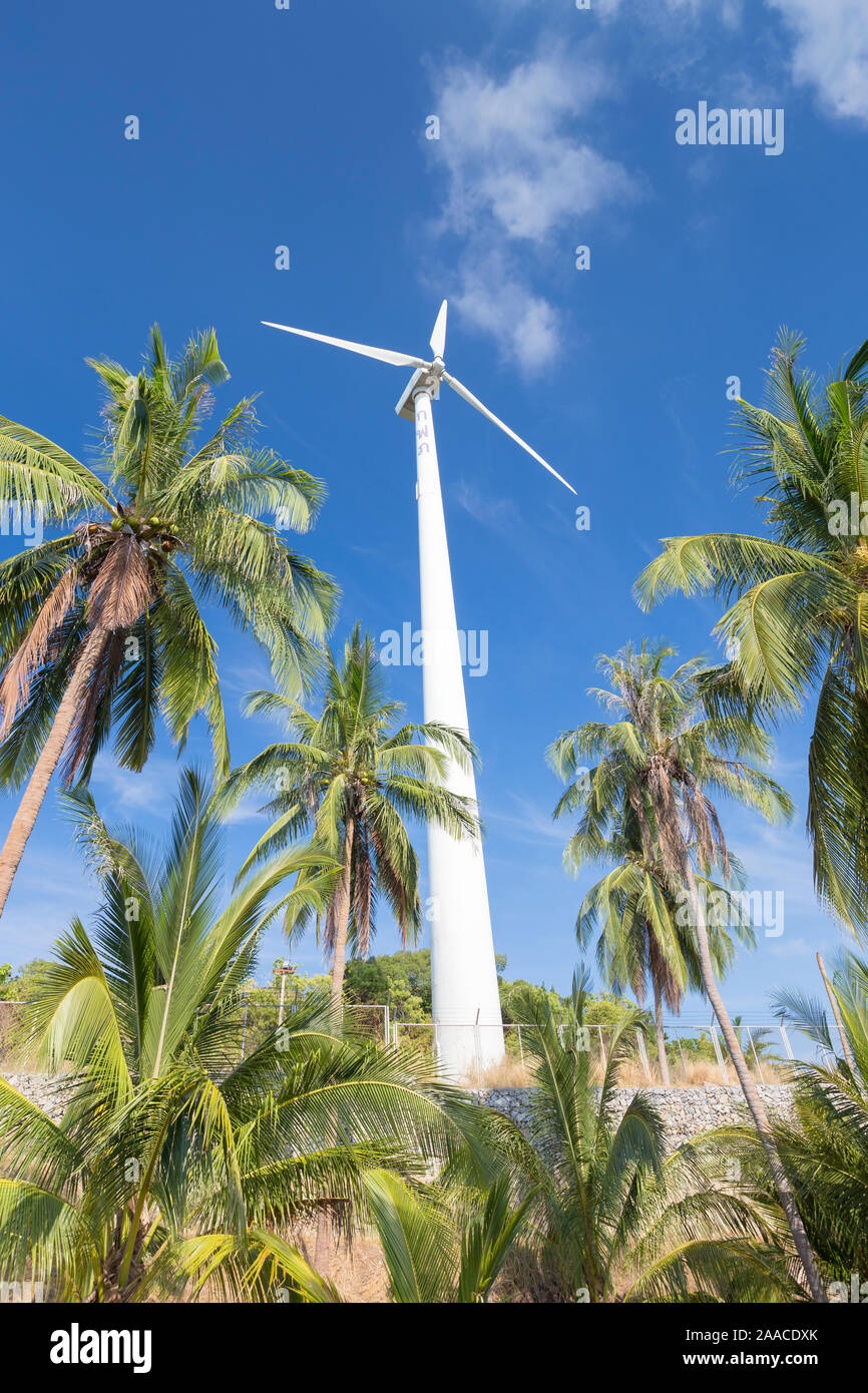 Turbina eolica circondato da alberi di palma, Thailandia Foto Stock