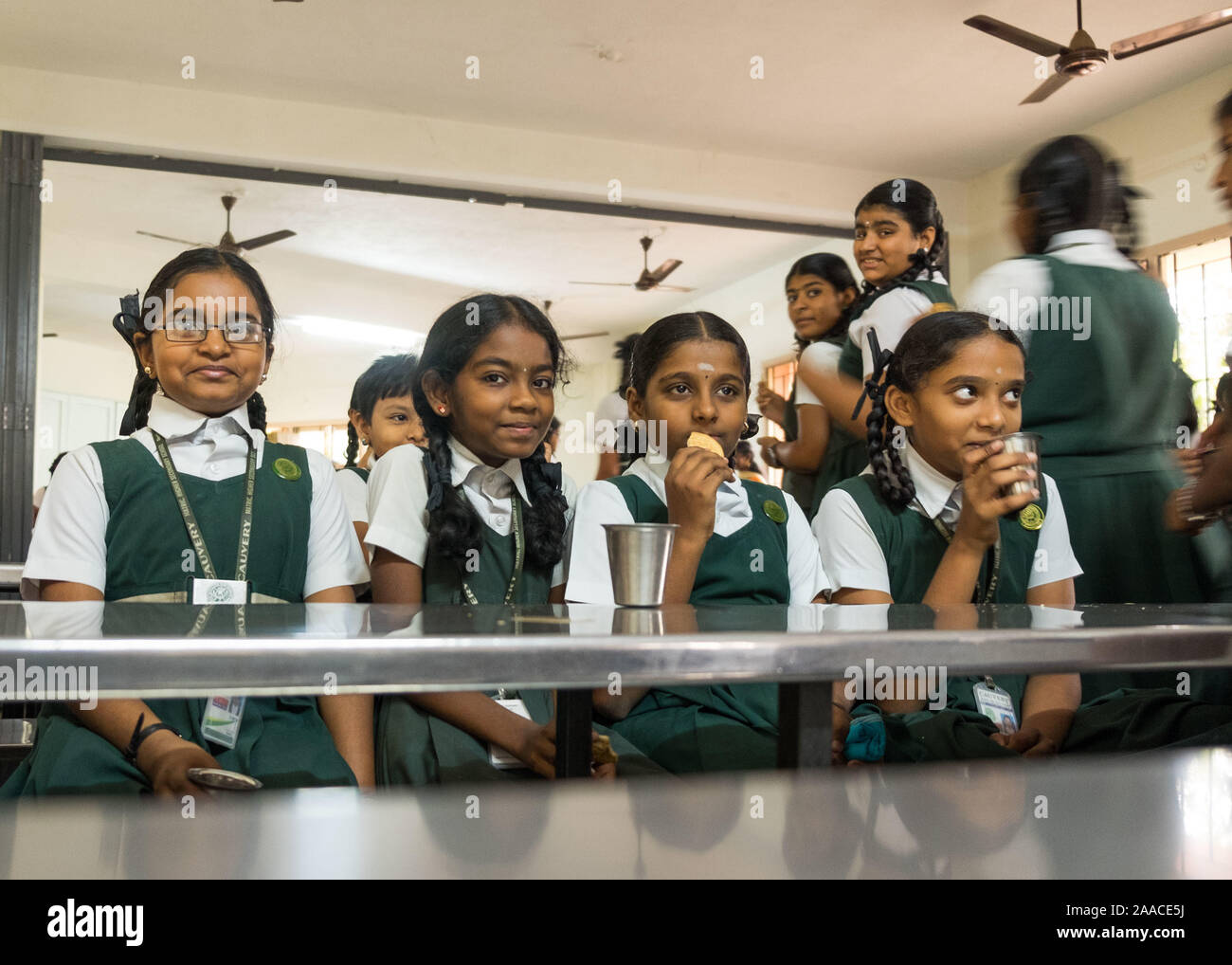 Un gruppo di giovani ragazze della scuola a pranzo in Tiruchirappalli,Tamil Nadu, India. Foto Stock