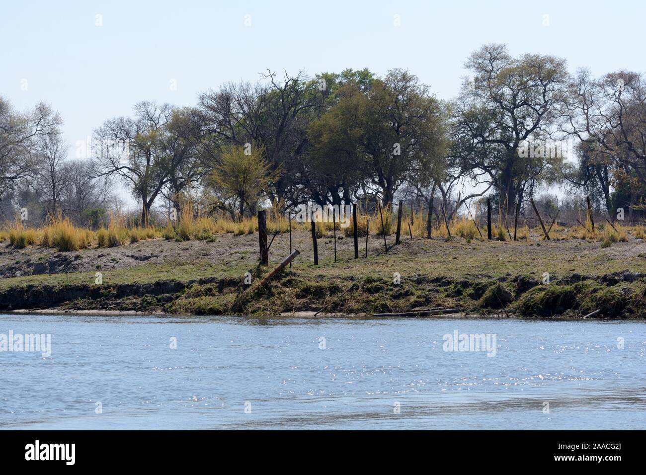 Confine tra Botsswana e Nanibia sull'Okavango Delta Moremi Game Reserve in Africa Foto Stock