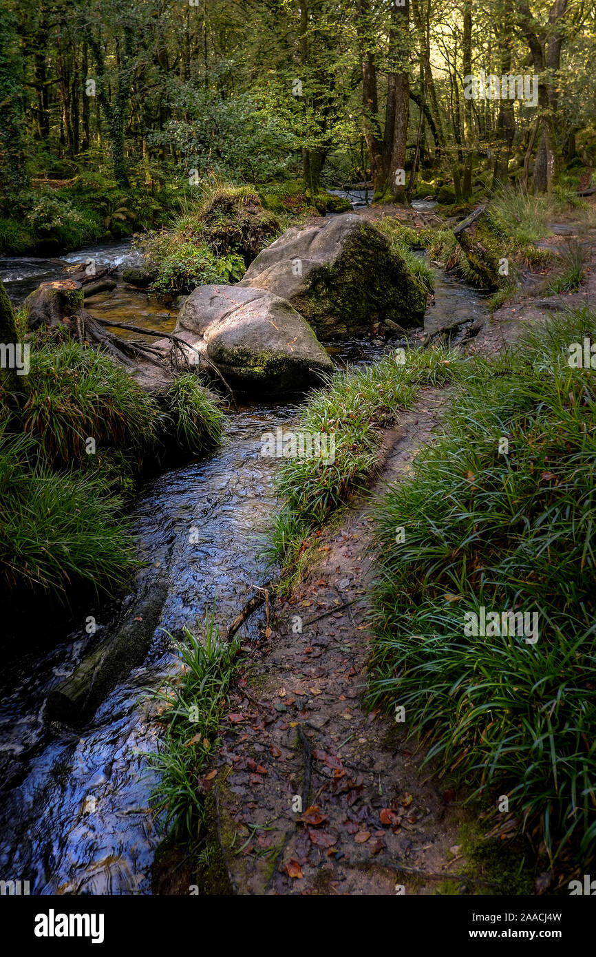 Il fiume Fowey fluente attraverso l'antico bosco di querce di legno Draynes a Golitha Falls in Cornovaglia. Foto Stock