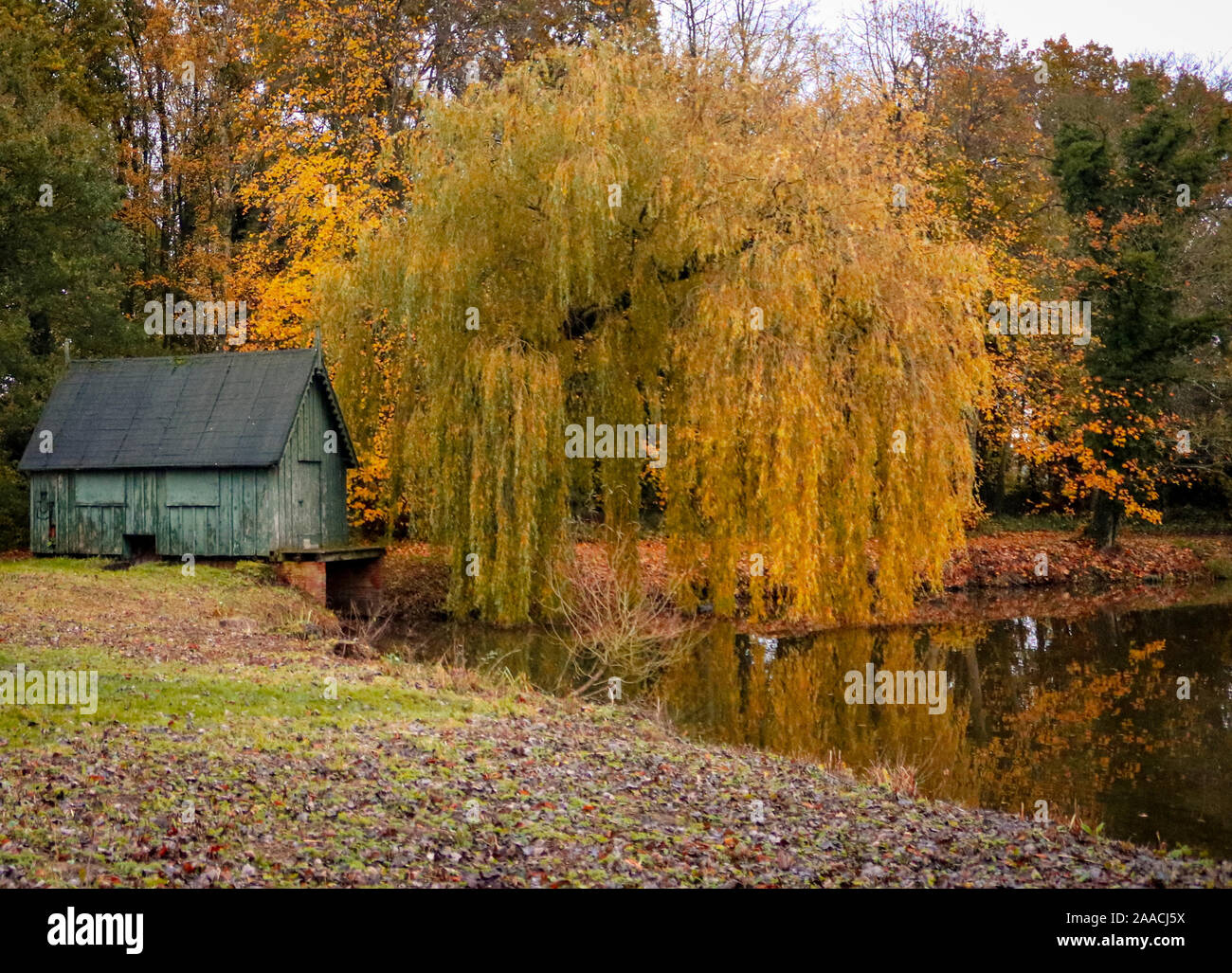 Autunno in riva al lago Foto Stock