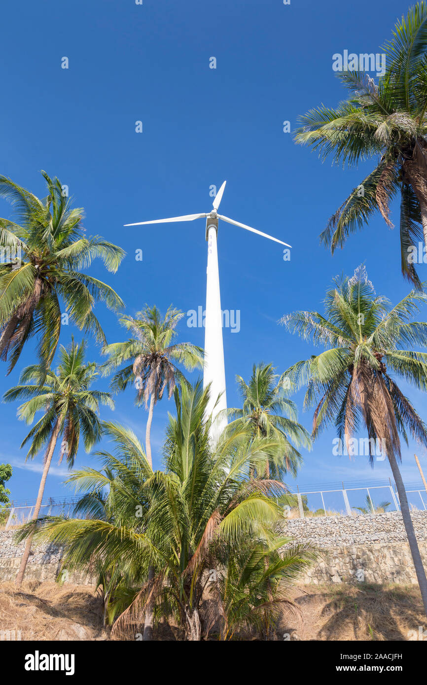 Turbina eolica circondato da alberi di palma, Thailandia Foto Stock