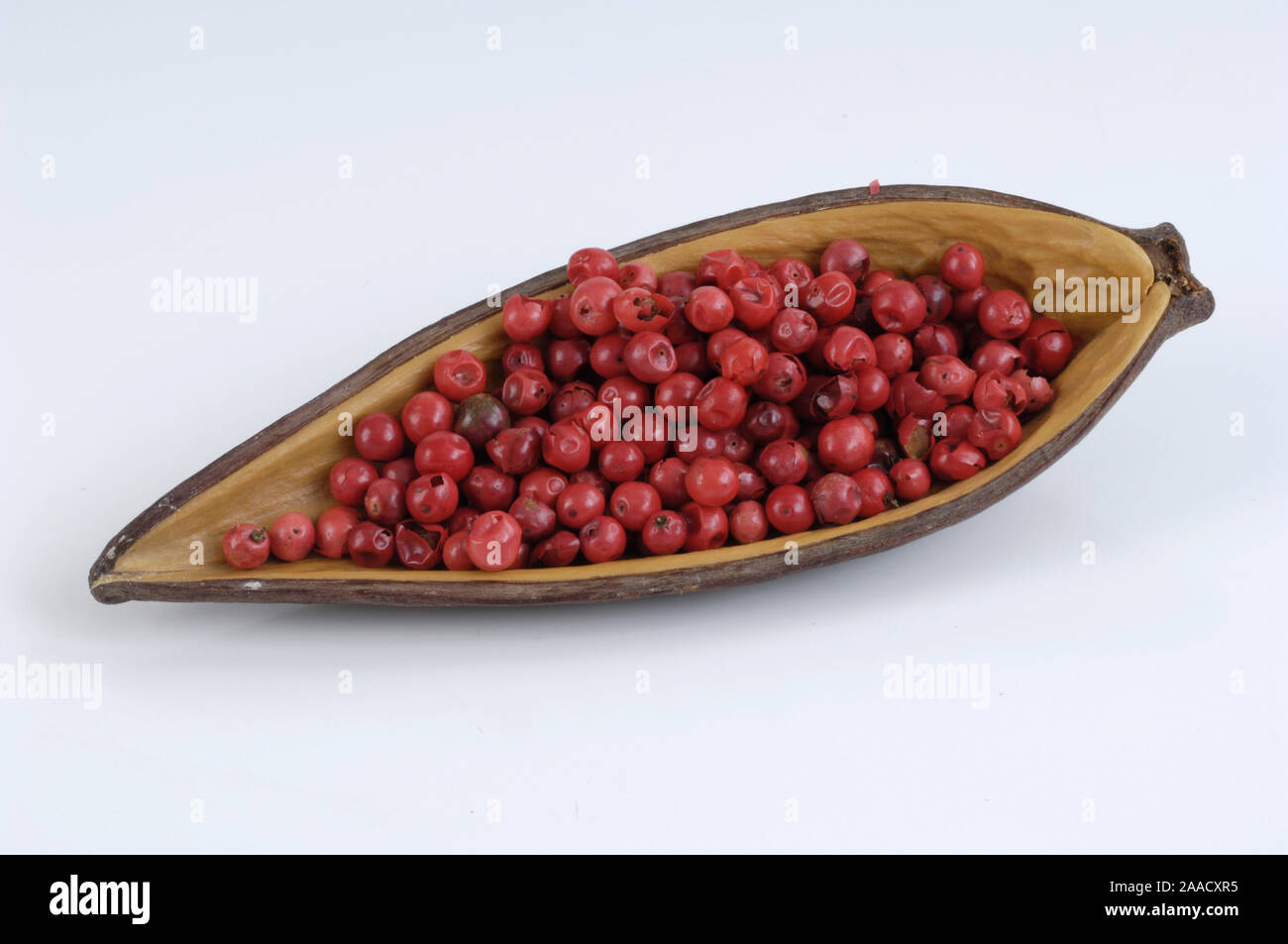 Pepe rosa / (Schinus Terebinthifolius) / Rosa Pfeffer / Brasilianischer Pfefferbaum, Pepper-Tree brasiliano, pepe rosa Foto Stock