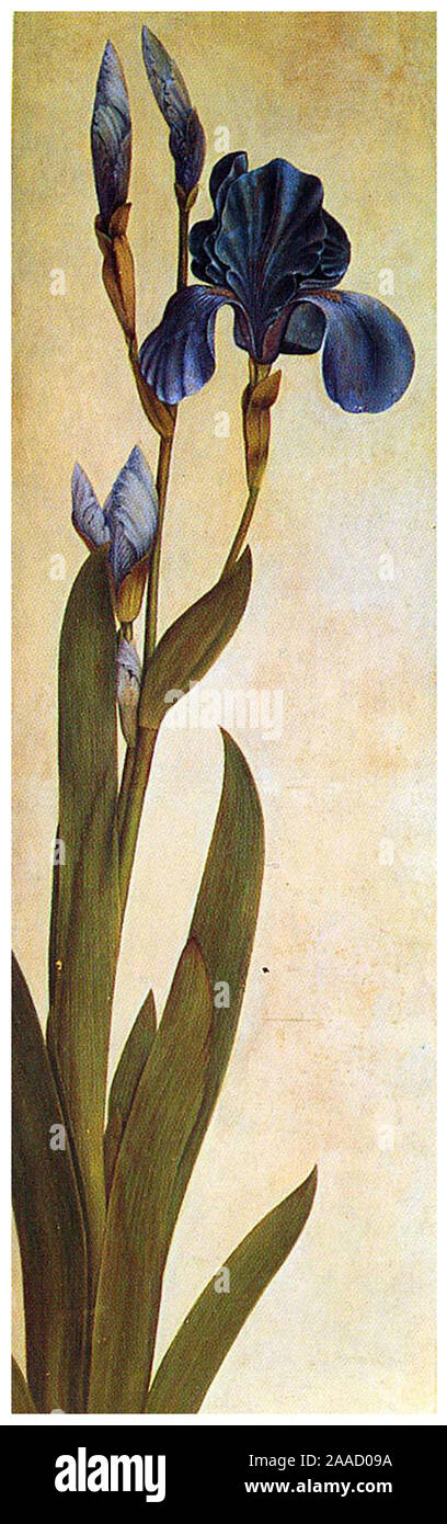 Arte vintage da Albrecht Dürer Foto Stock