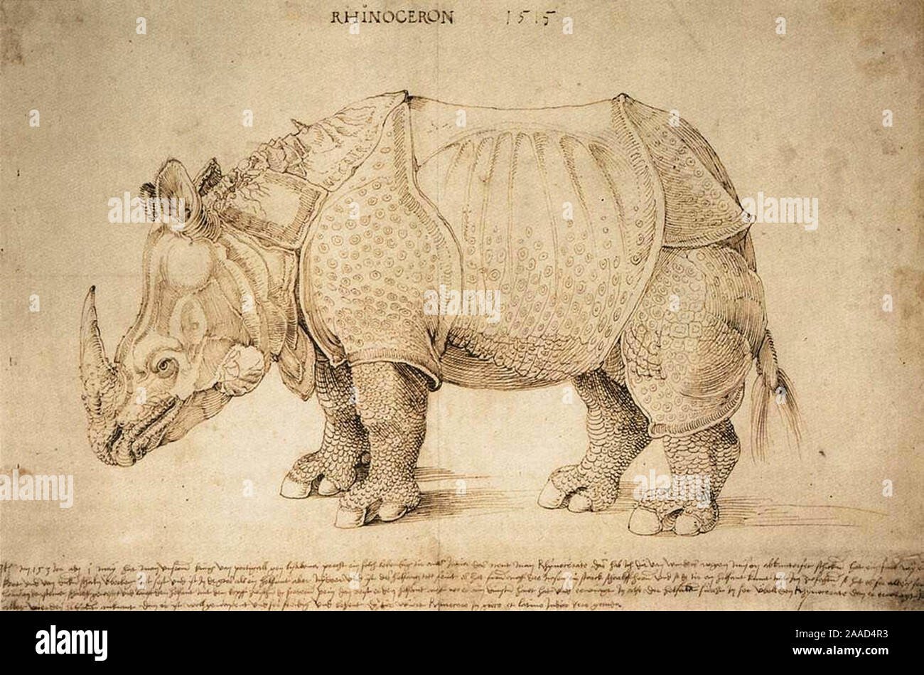 Arte vintage da Albrecht Dürer Foto Stock Arte vintage da Albrecht Dürer Foto Stock