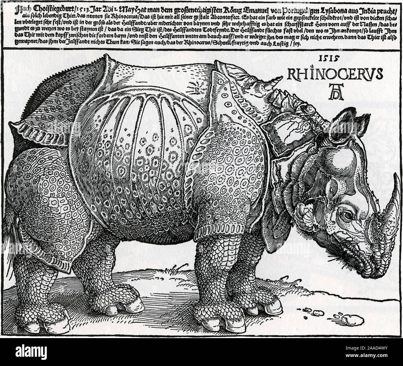 Arte vintage da Albrecht Dürer Foto Stock