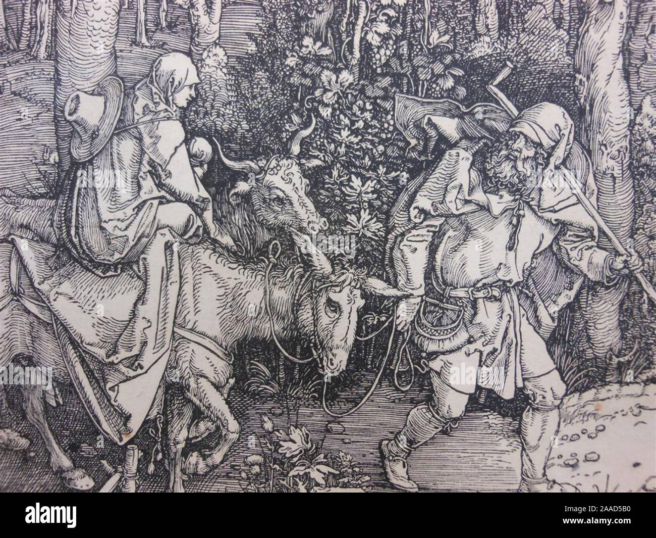 Arte vintage da Albrecht Dürer Foto Stock Arte vintage da Albrecht Dürer Foto Stock