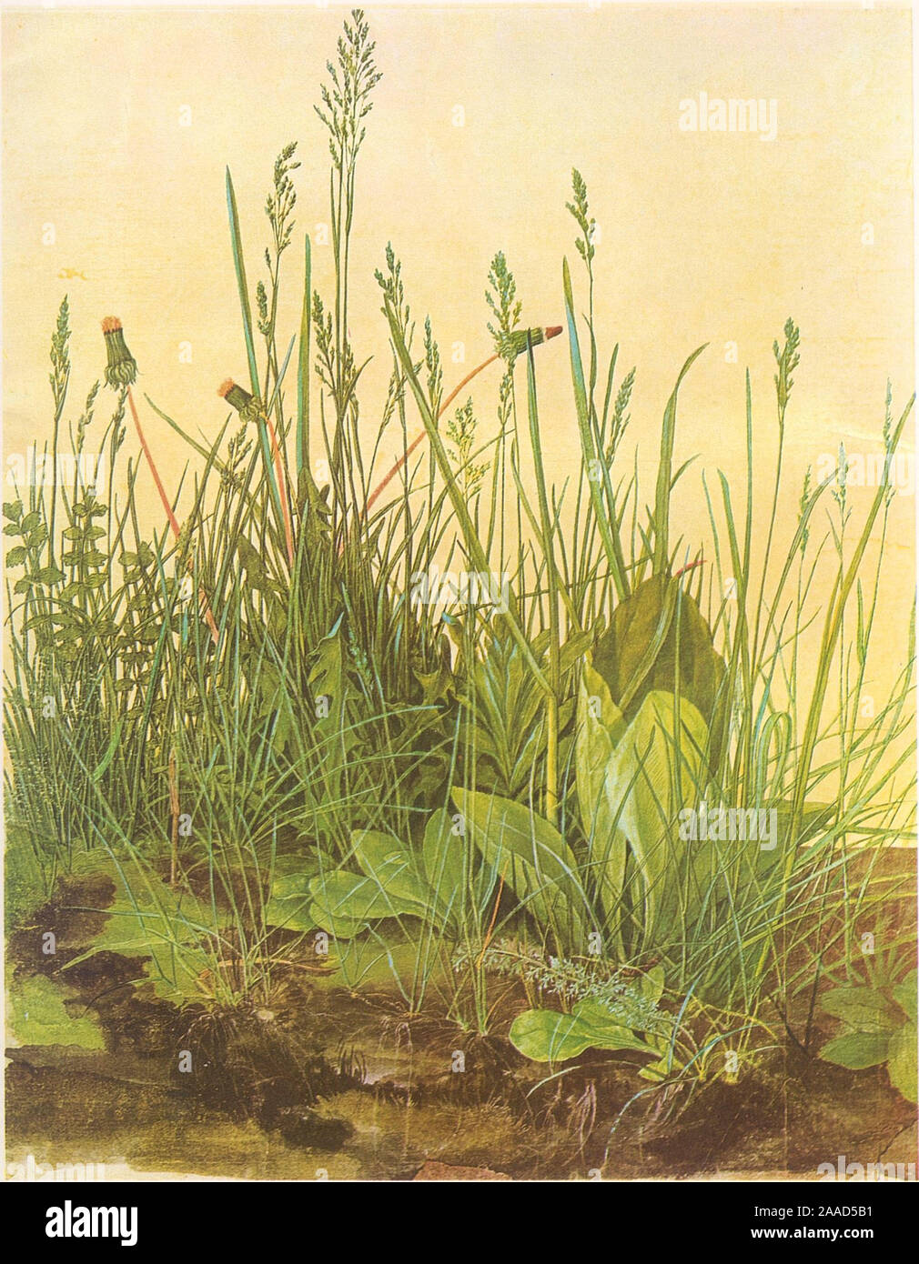 Arte vintage da Albrecht Dürer Foto Stock Arte vintage da Albrecht Dürer Foto Stock