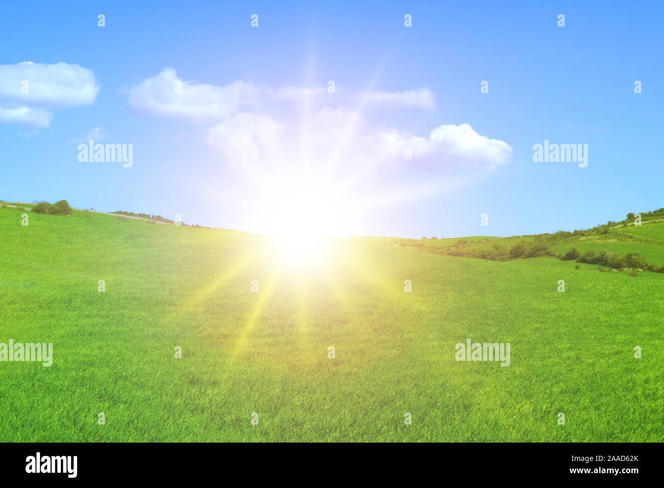 Campo con erba verde con sole basso all'orizzonte e belle nuvole nel cielo blu Foto Stock